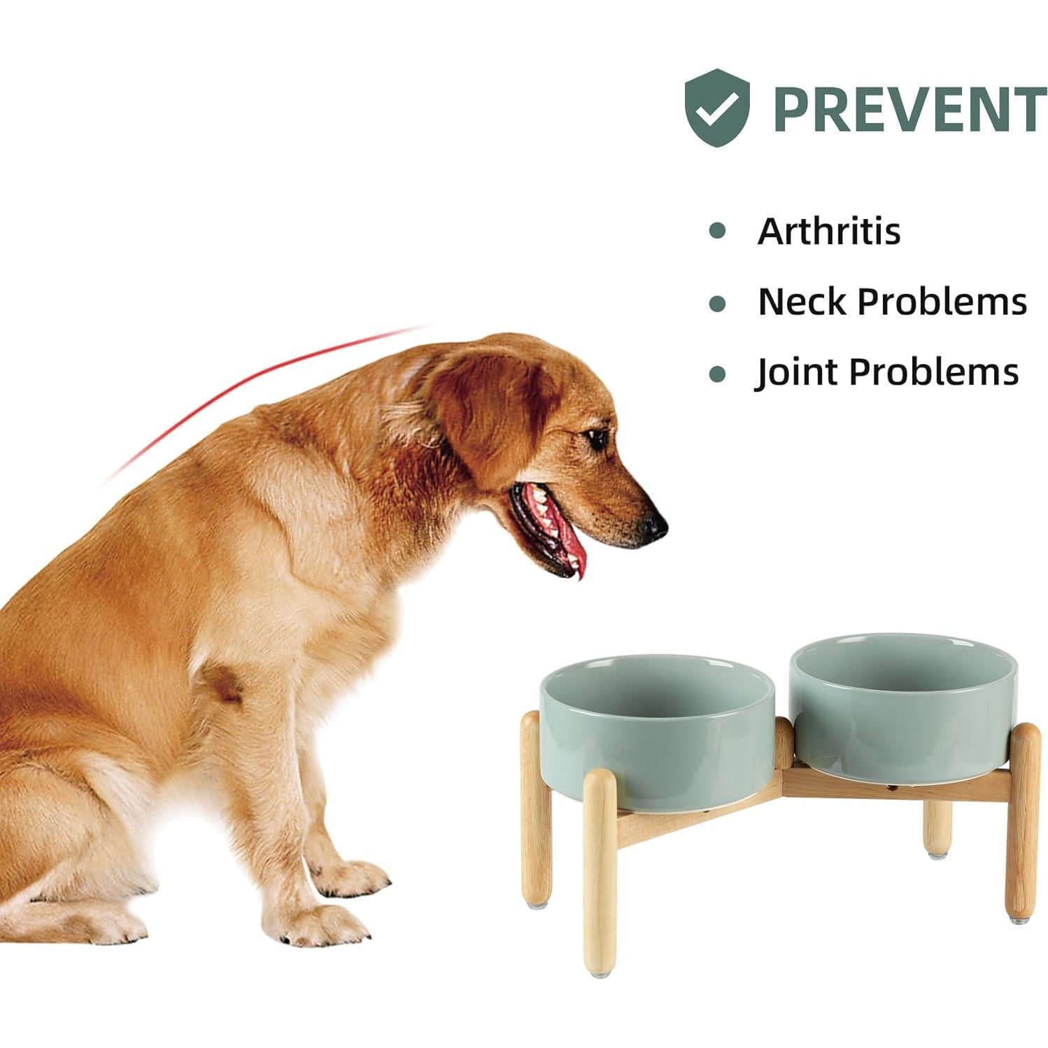 Juego de Cuencos Dobles Elevados Havniva Cerámica 18.5 cm Verde Claro