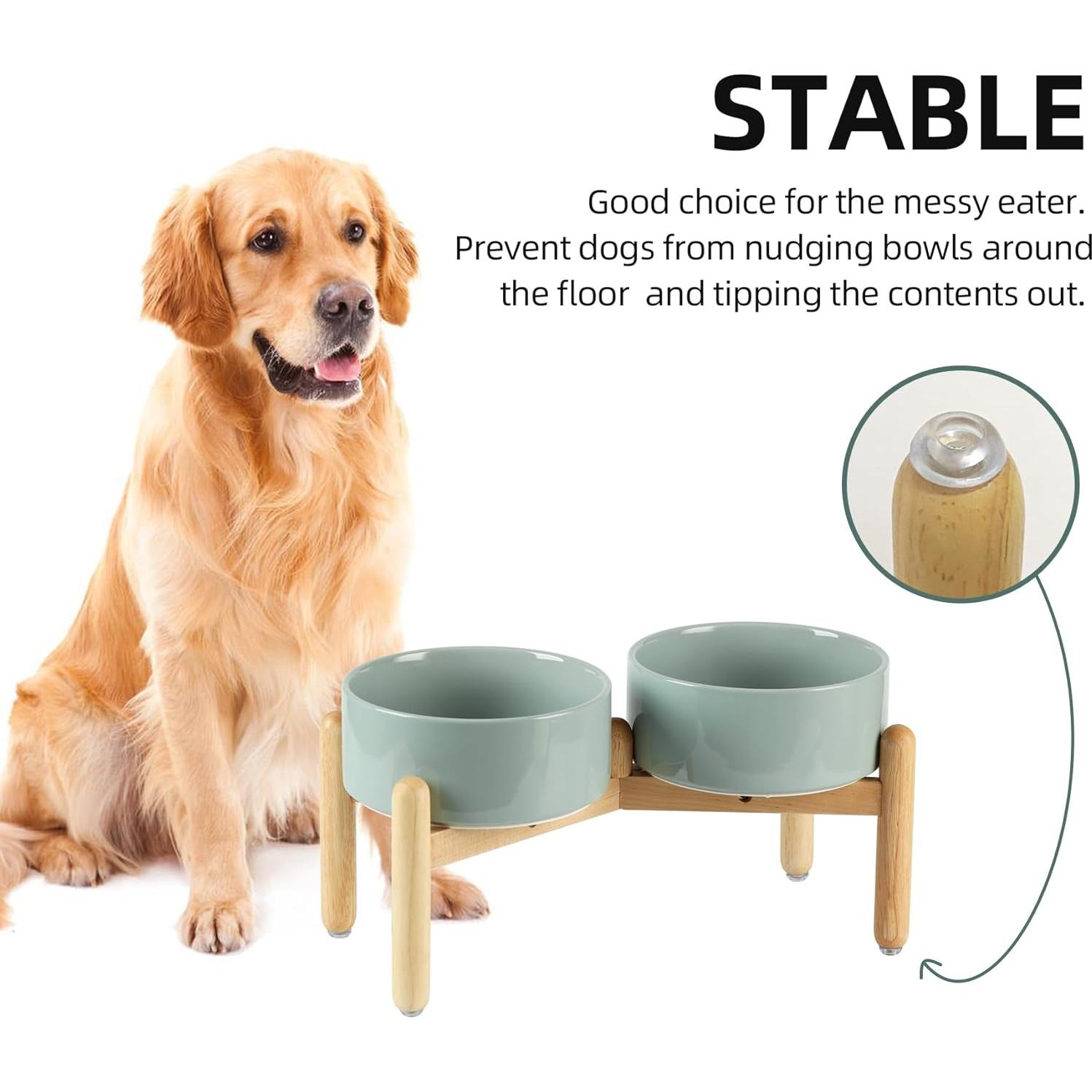 Juego de Cuencos Dobles Elevados Havniva Cerámica 18.5 cm Verde Claro