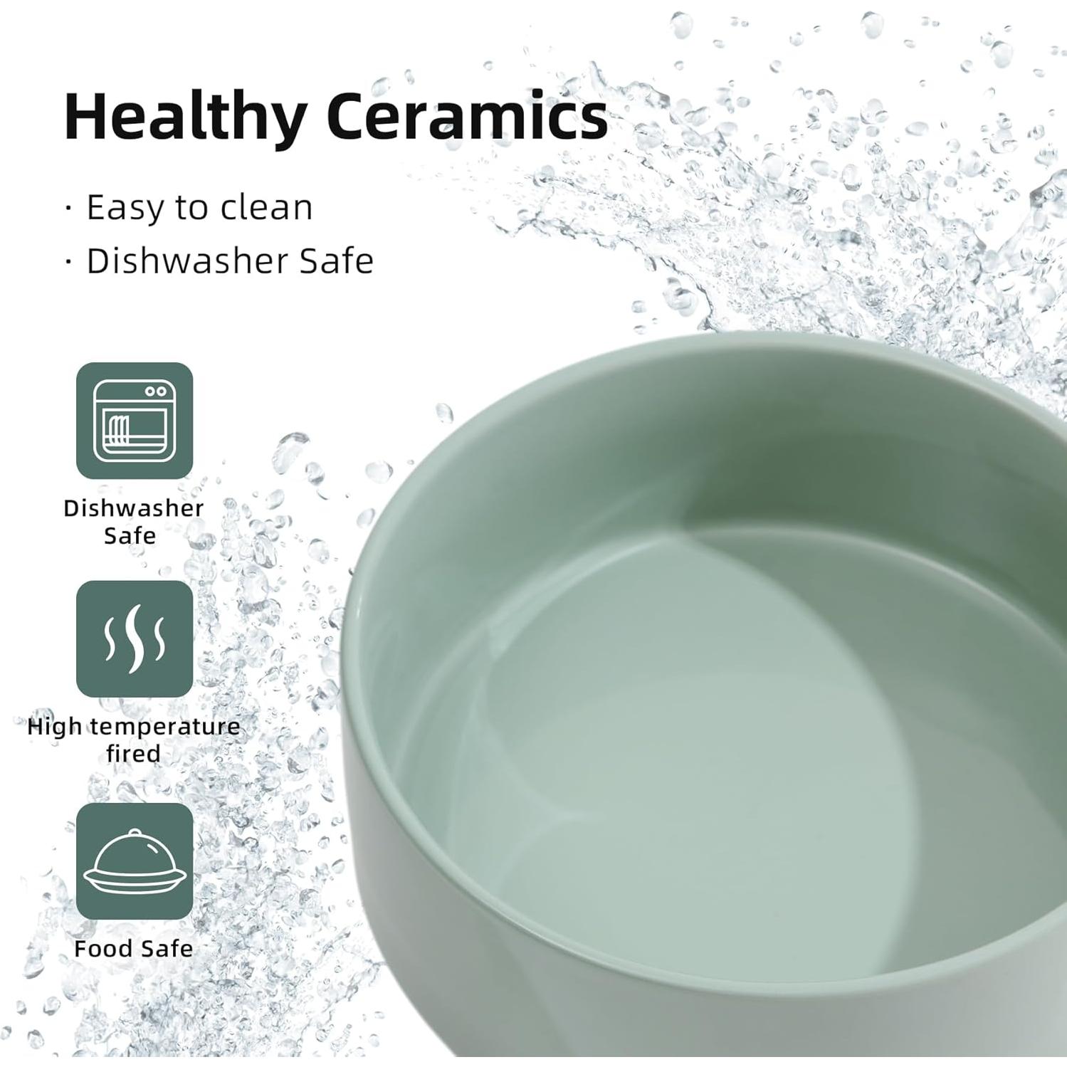 Juego de Cuencos Dobles Elevados Havniva Cerámica 18.5 cm Verde Claro