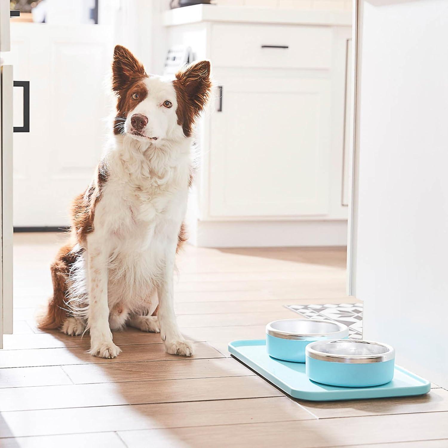 Tazones Antideslizantes Trot Pets Acero Inoxidable Pequeño