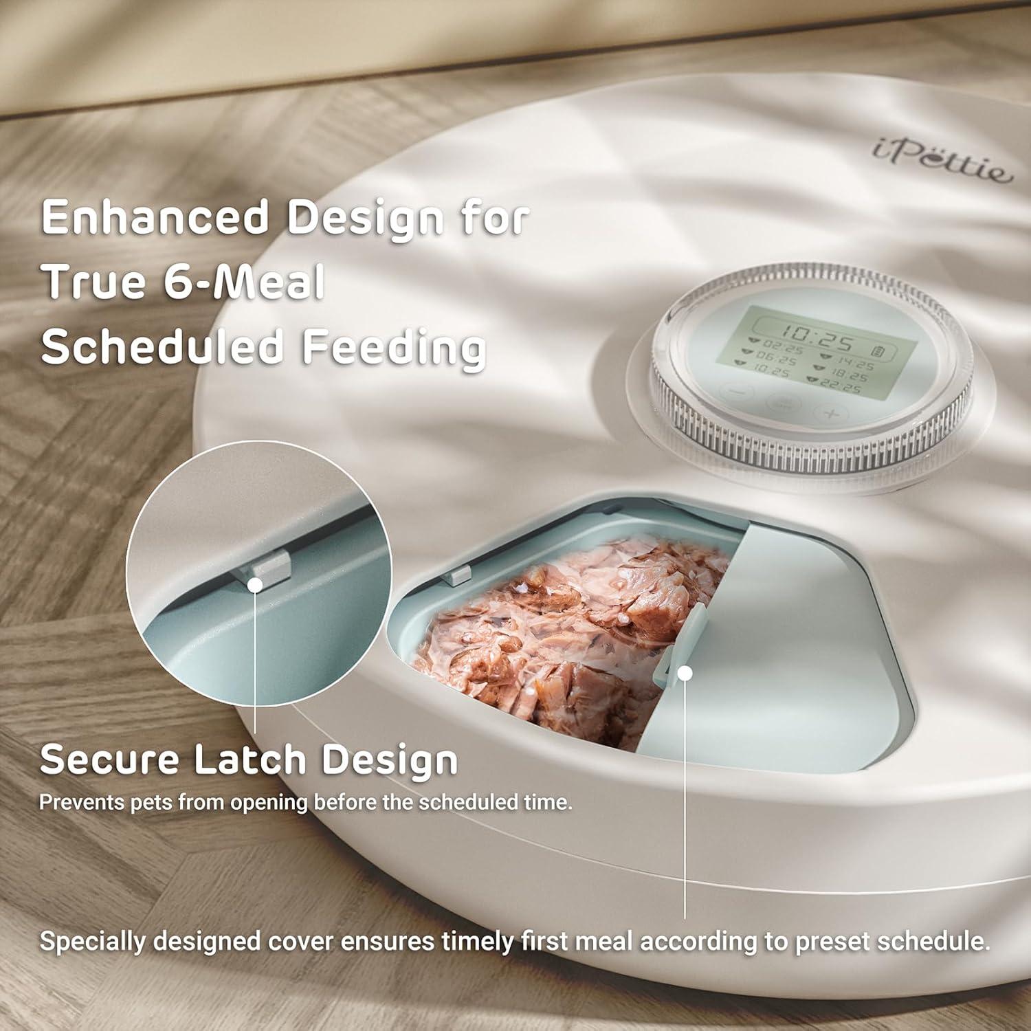 Alimentador Automático de Comida Húmeda iPettie Brioche 2.22kg