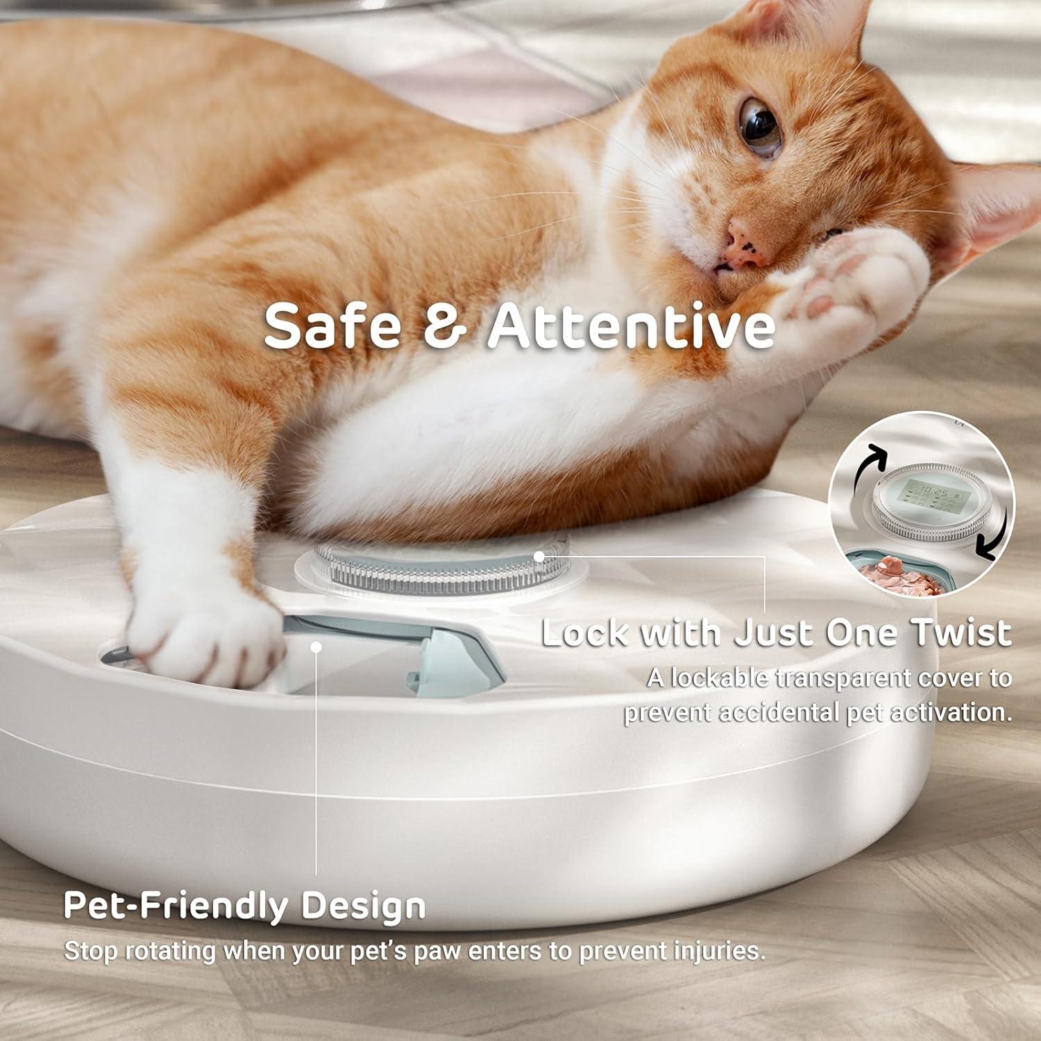 Alimentador Automático de Comida Húmeda iPettie Brioche 2.22kg