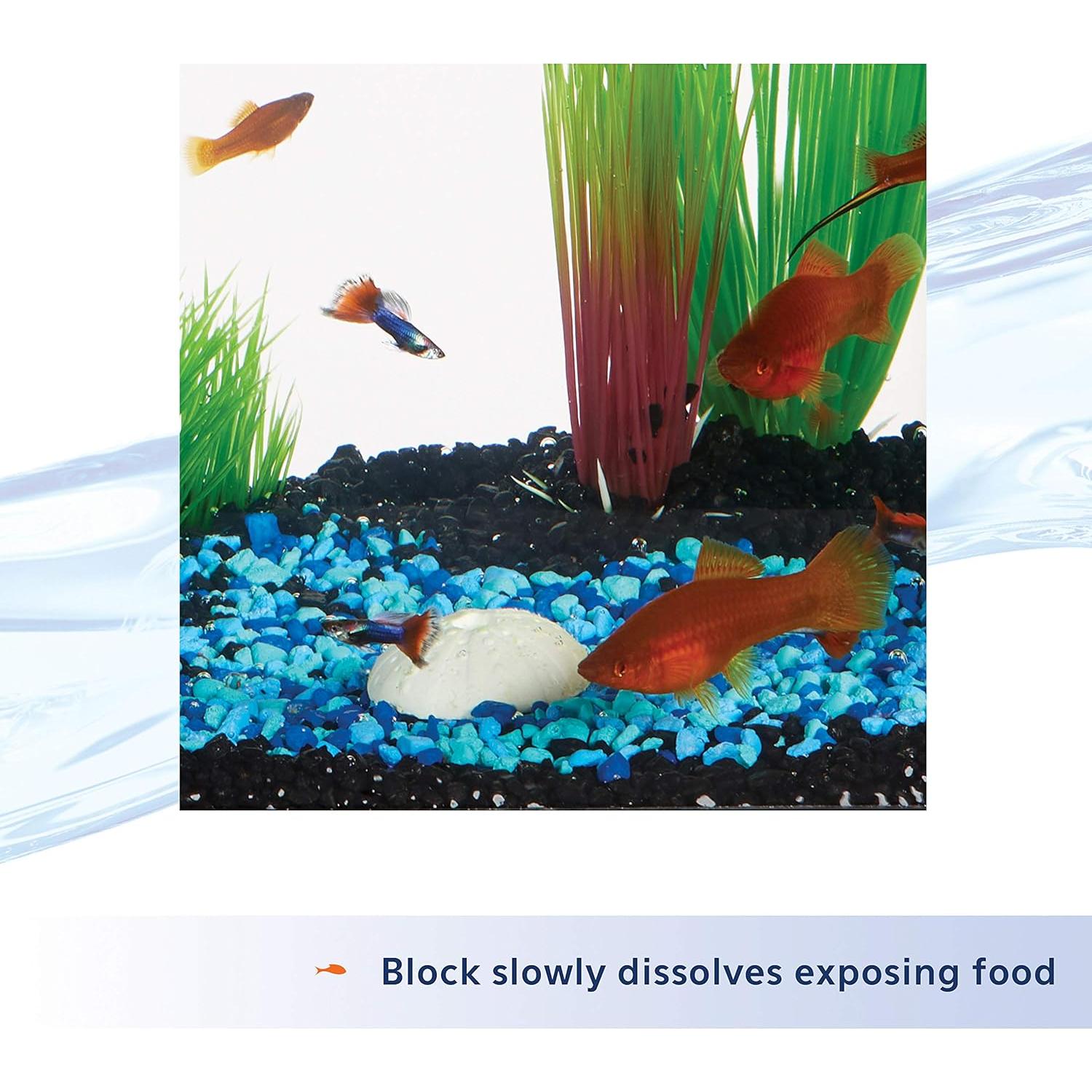 Alimentador de Vacaciones Aqueon 7 Días para Peces 19g