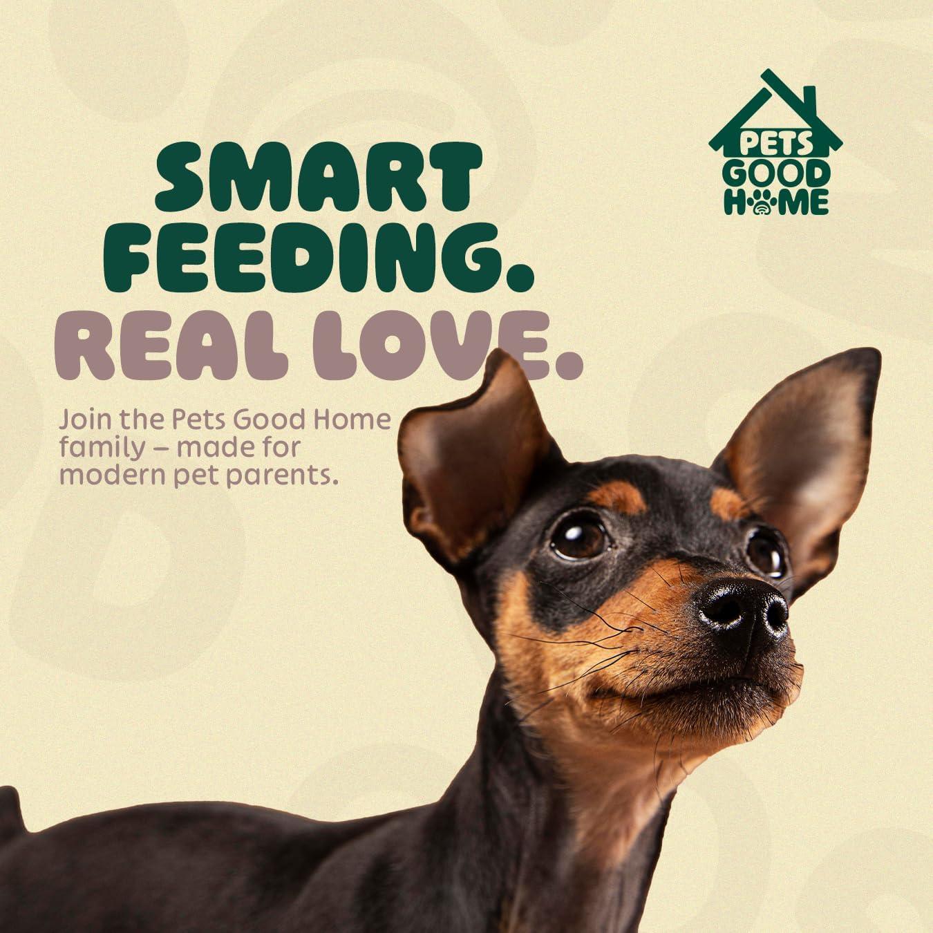 Comedero Inteligente PetsGoodHome 6L WiFi para Perros y Gatos