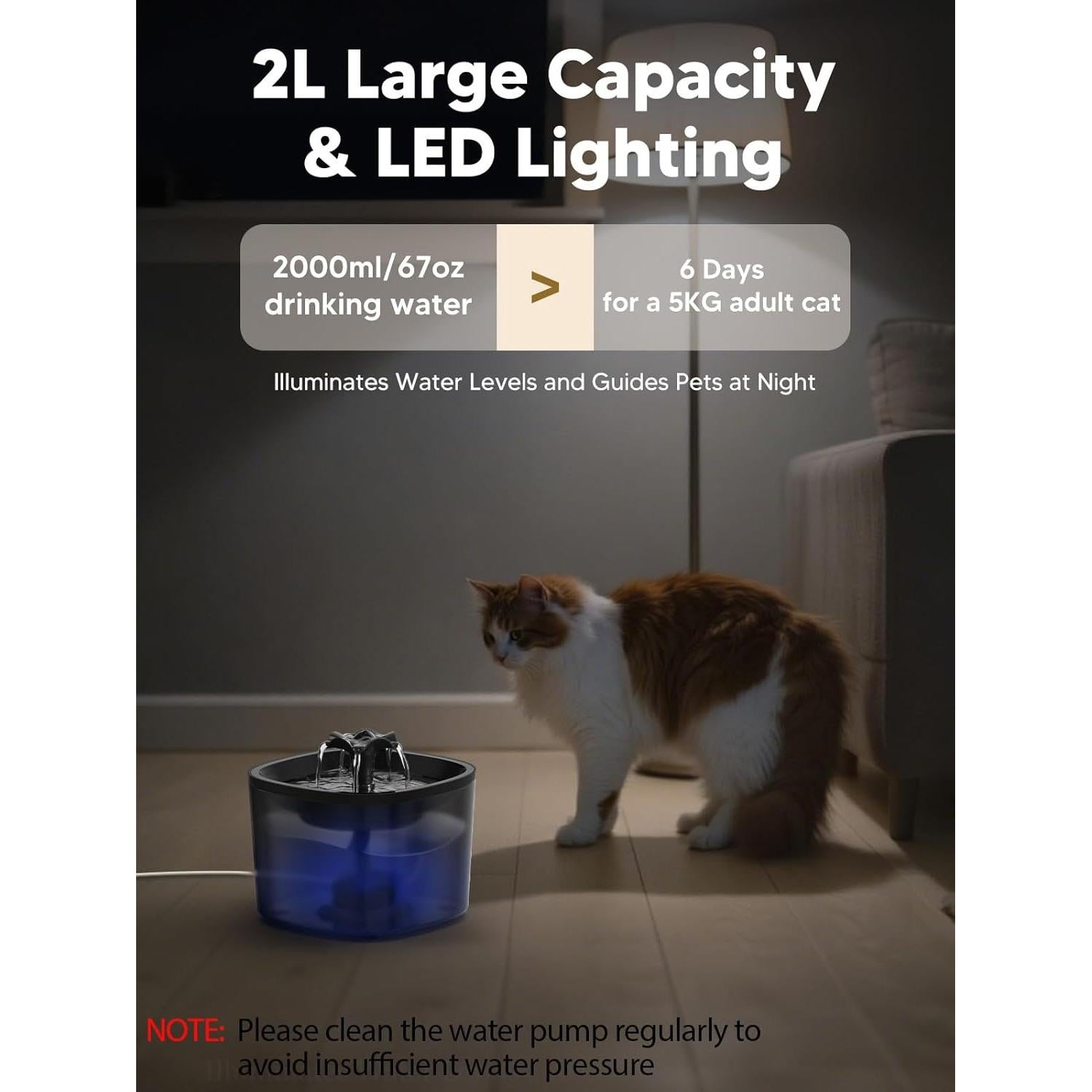 Dispensador Automático de Comida y Agua para Gatos CORGOTE 5L