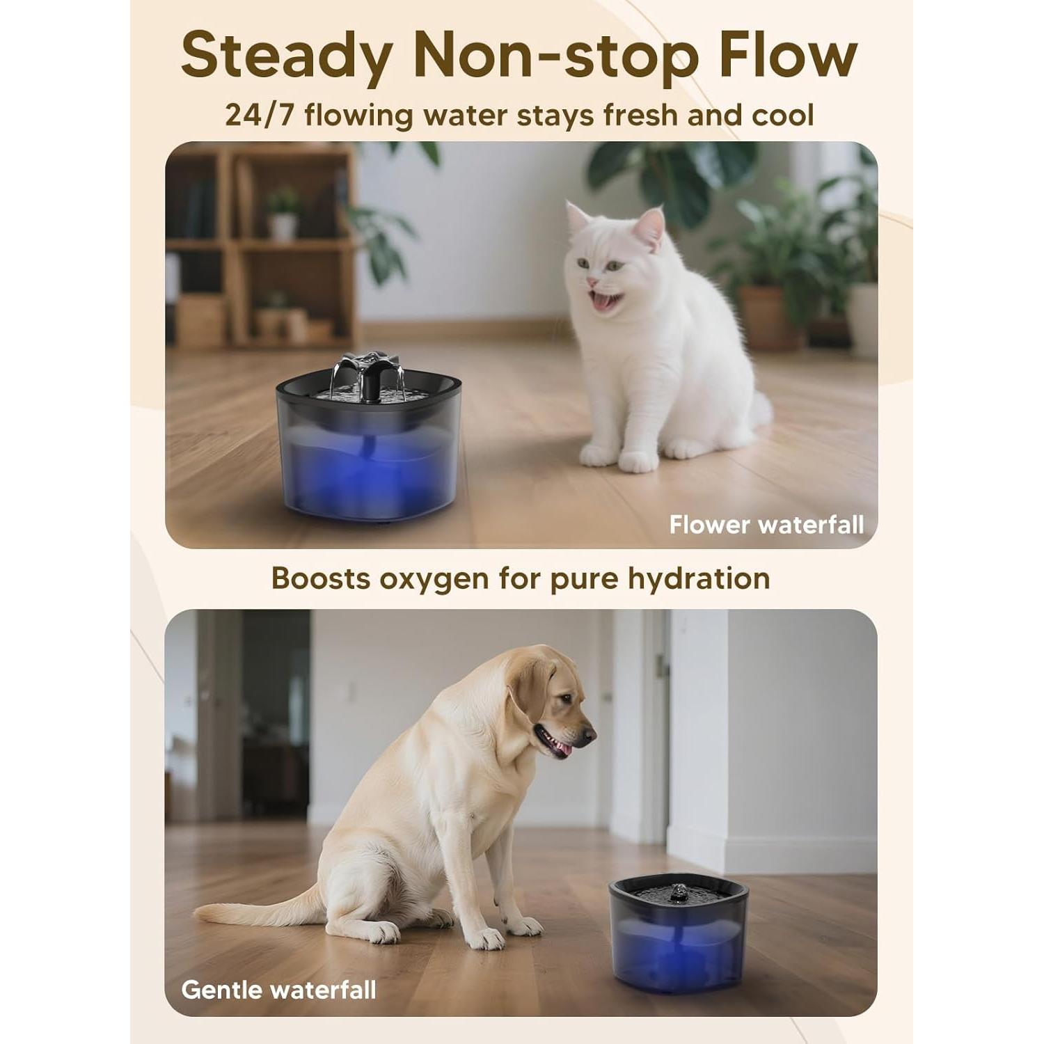 Dispensador Automático de Comida y Agua para Gatos CORGOTE 5L