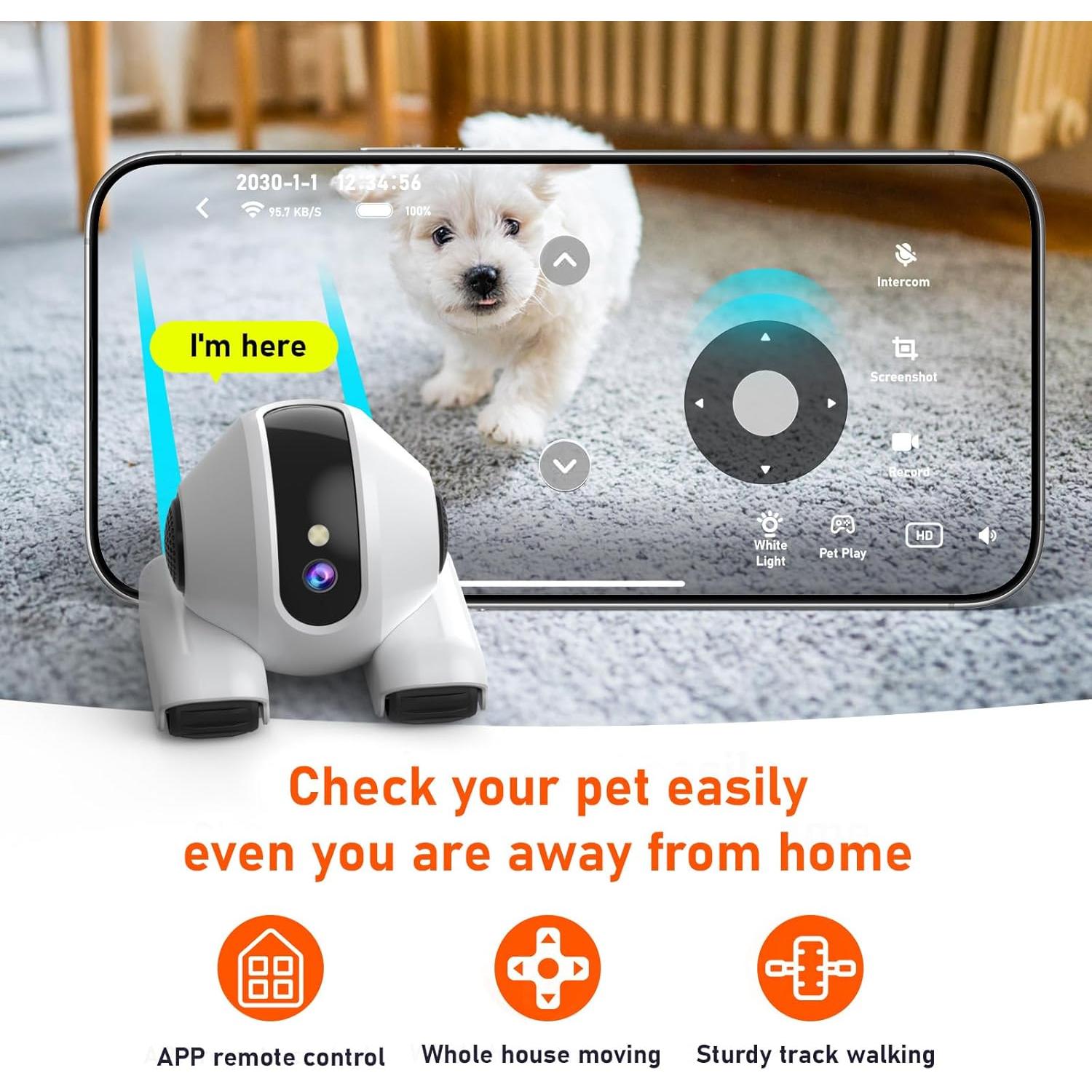 Cámara para Mascotas Mity Rain 1080P con Visión Nocturna