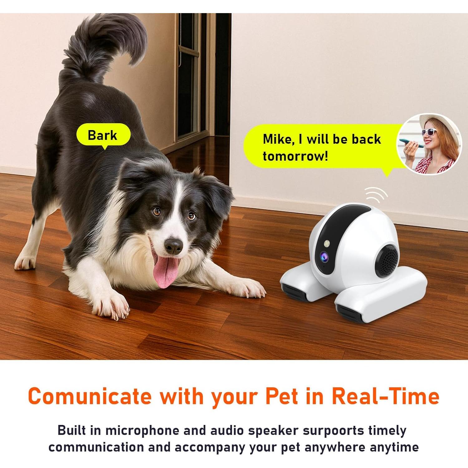 Cámara para Mascotas Mity Rain 1080P con Visión Nocturna