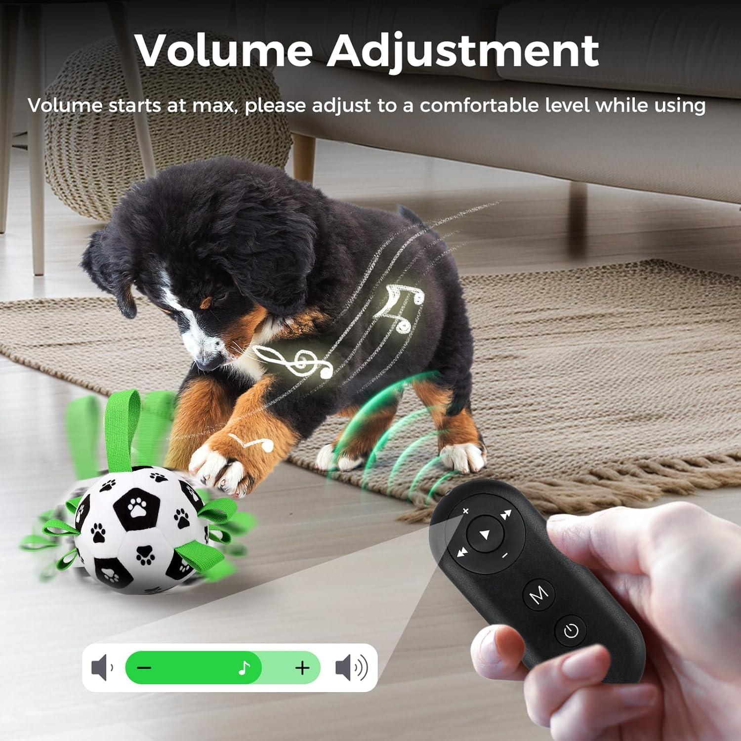 Pelota Interactiva para Perros QDAN con Control Remoto 12.7cm