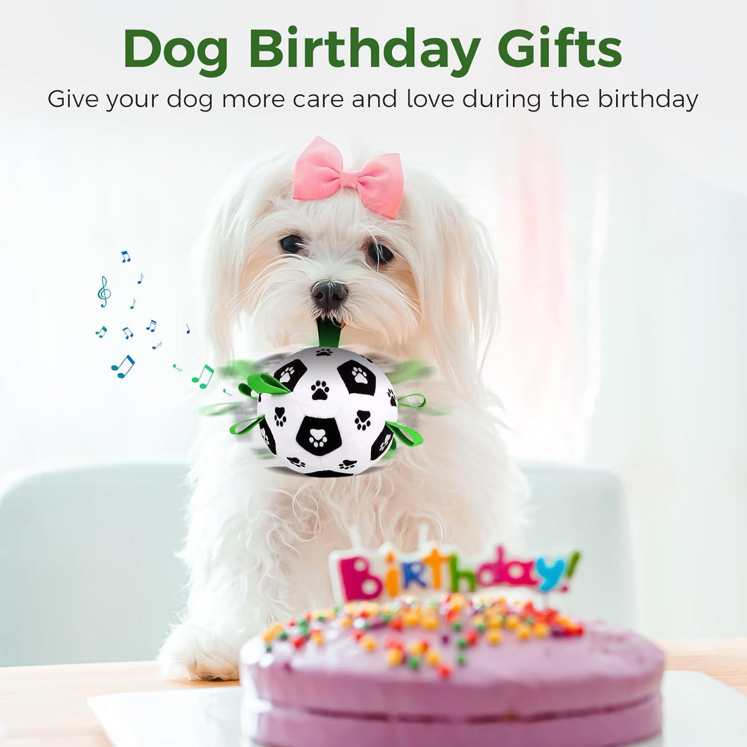 Pelota Interactiva para Perros QDAN con Control Remoto 12.7cm