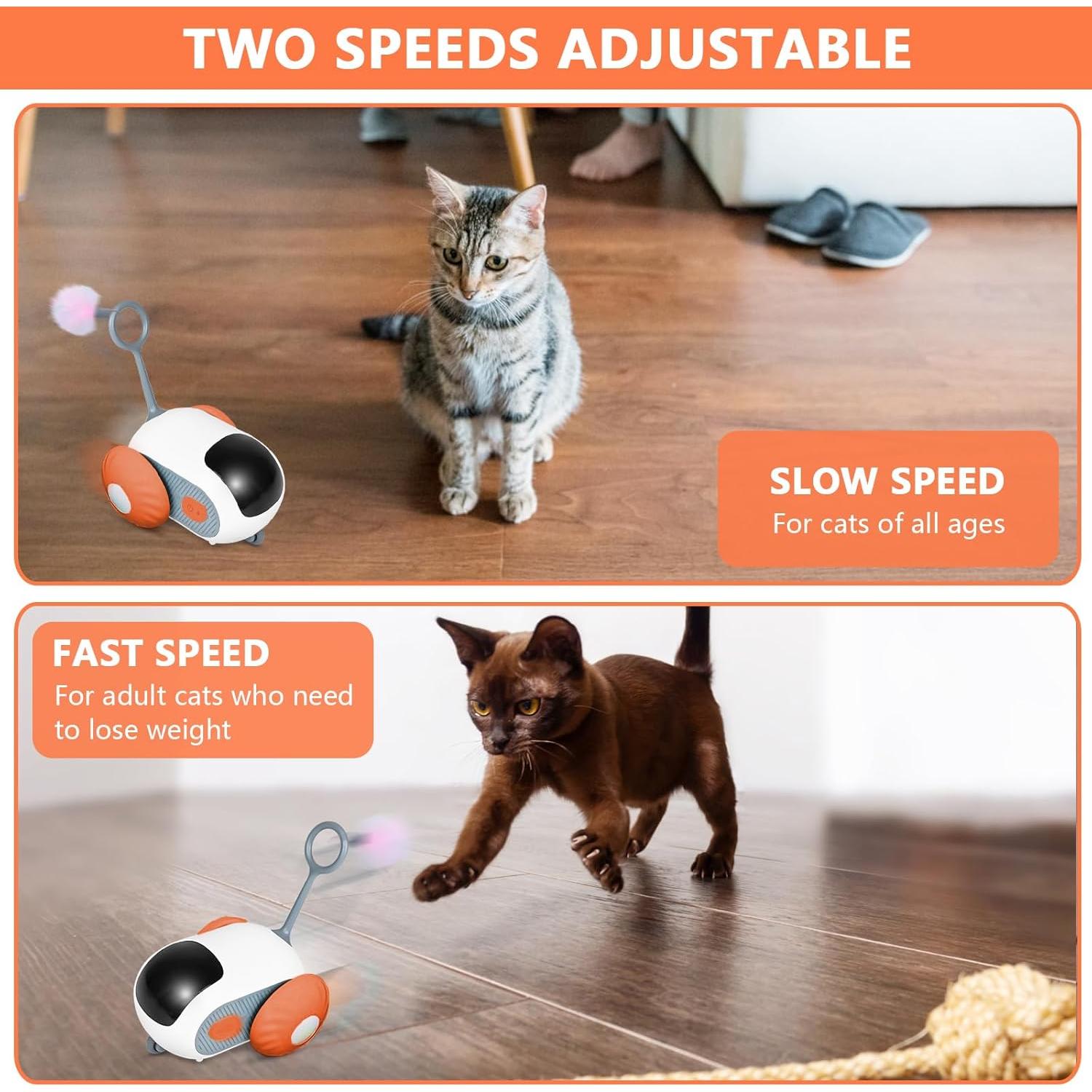 Coche de Juguete Eléctrico para Gatos Teazys Turbo Tail 2.0 Naranja