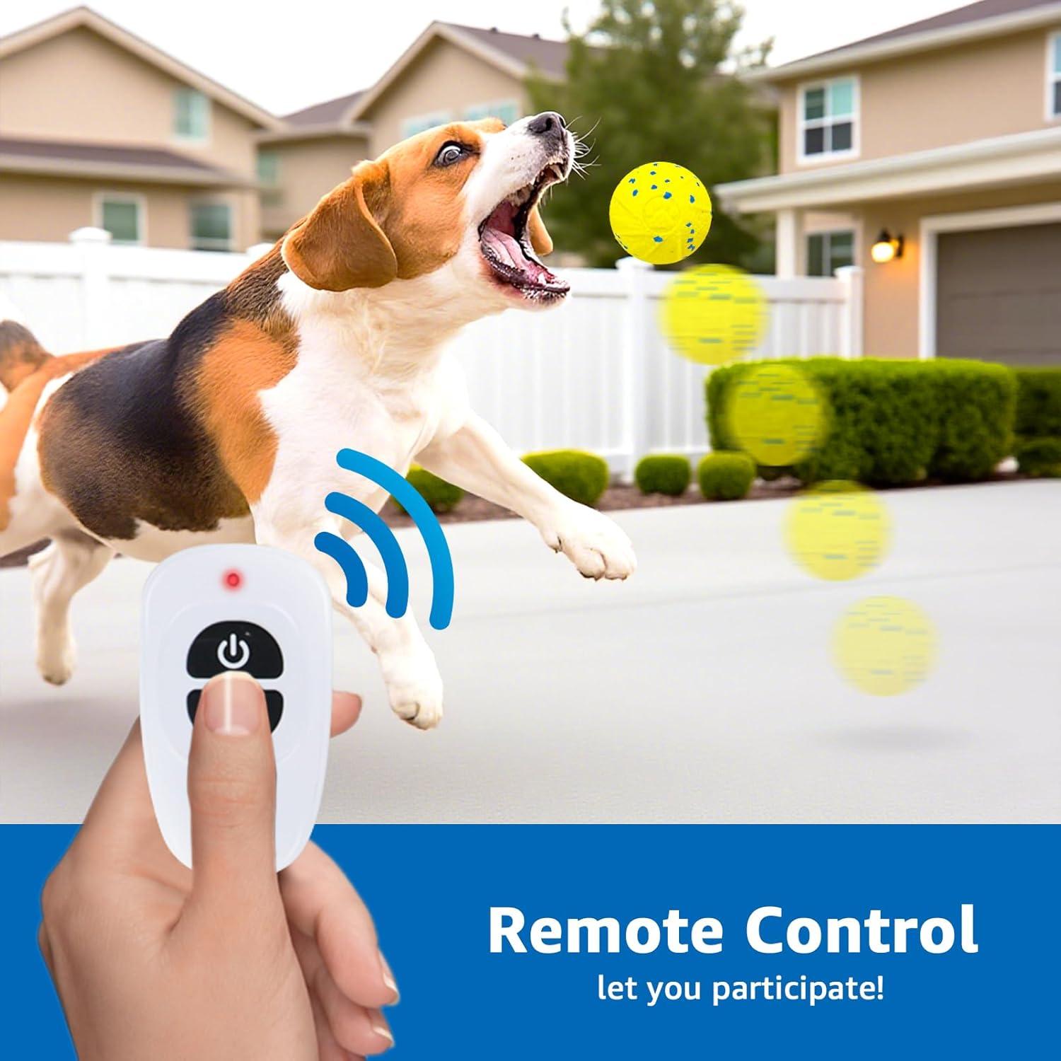 Juguete Interactivo para Perros Dolita con Control Remoto