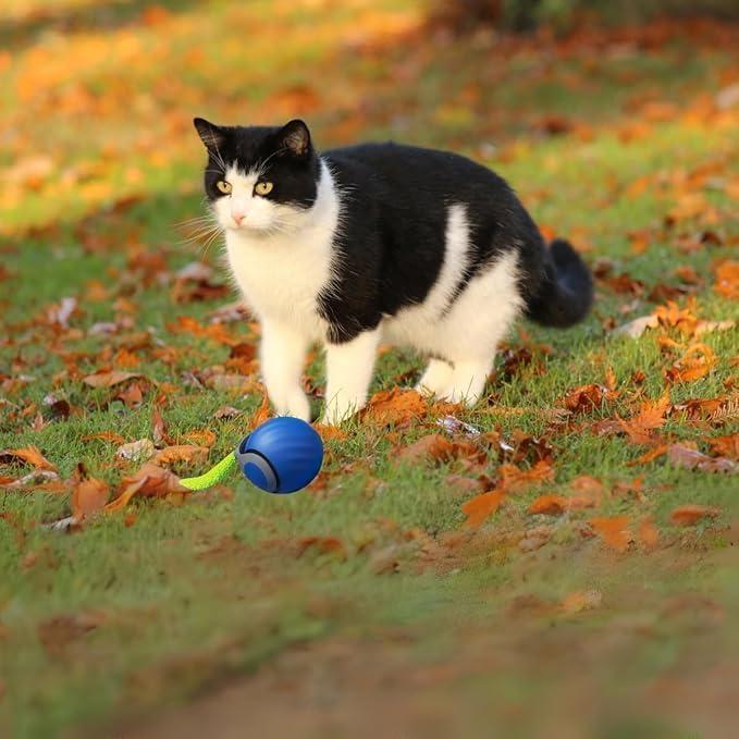 2 Paquetes Juguete Interactivo para Gatos Speedy 2.0 Cola