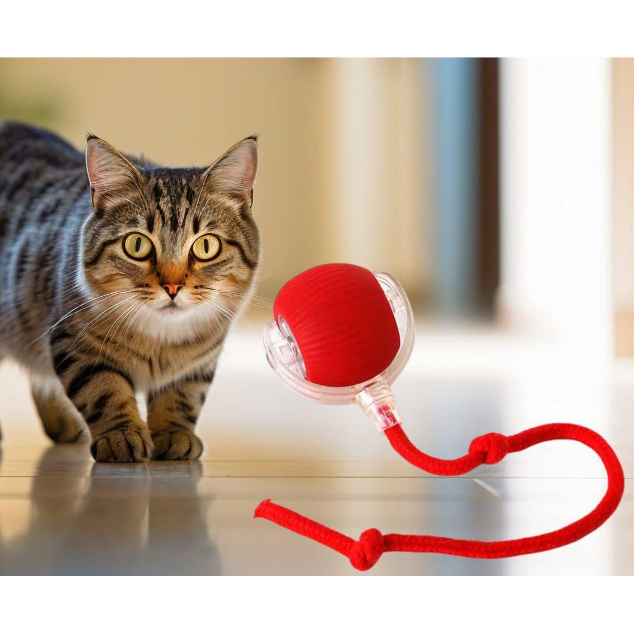 Juguete Interactivo para Gatos Bola Automática LED Rojo