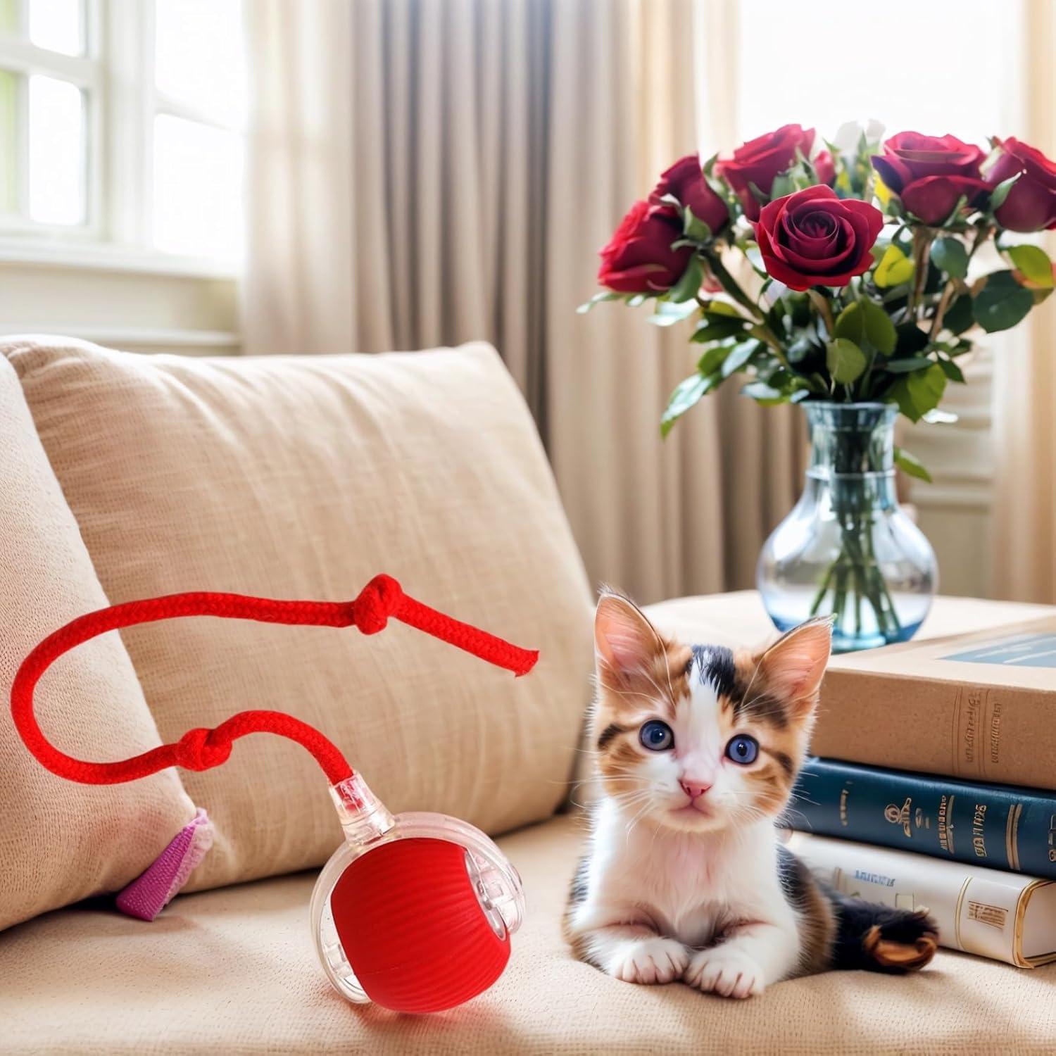 Juguete Eléctrico para Gatos WZADXMC - Bola Interactiva Verde