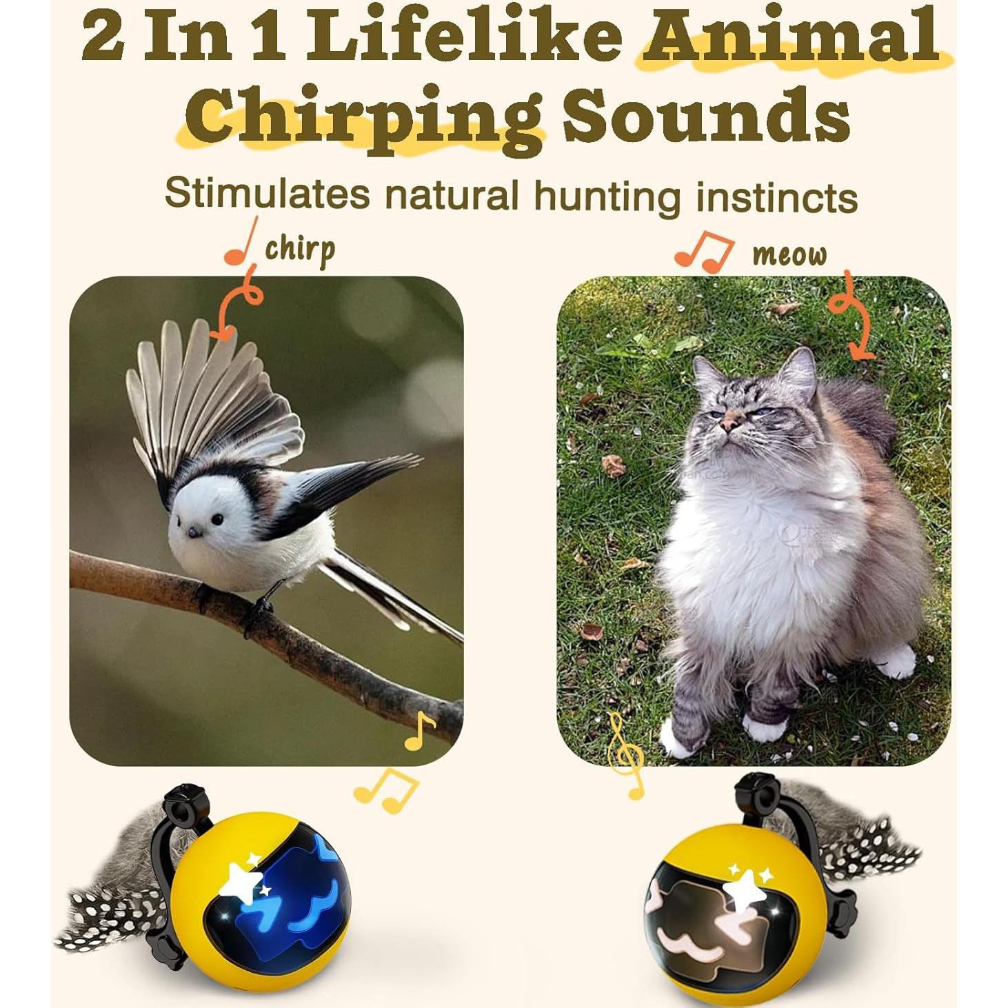 Juguete Interactivo para Gatos CUATRO ÁNGELES con Control Remoto