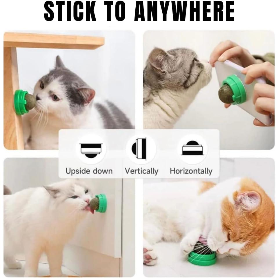 Juguete Interactivo Eléctrico para Gatos Tendify Serpiente 39.88cm