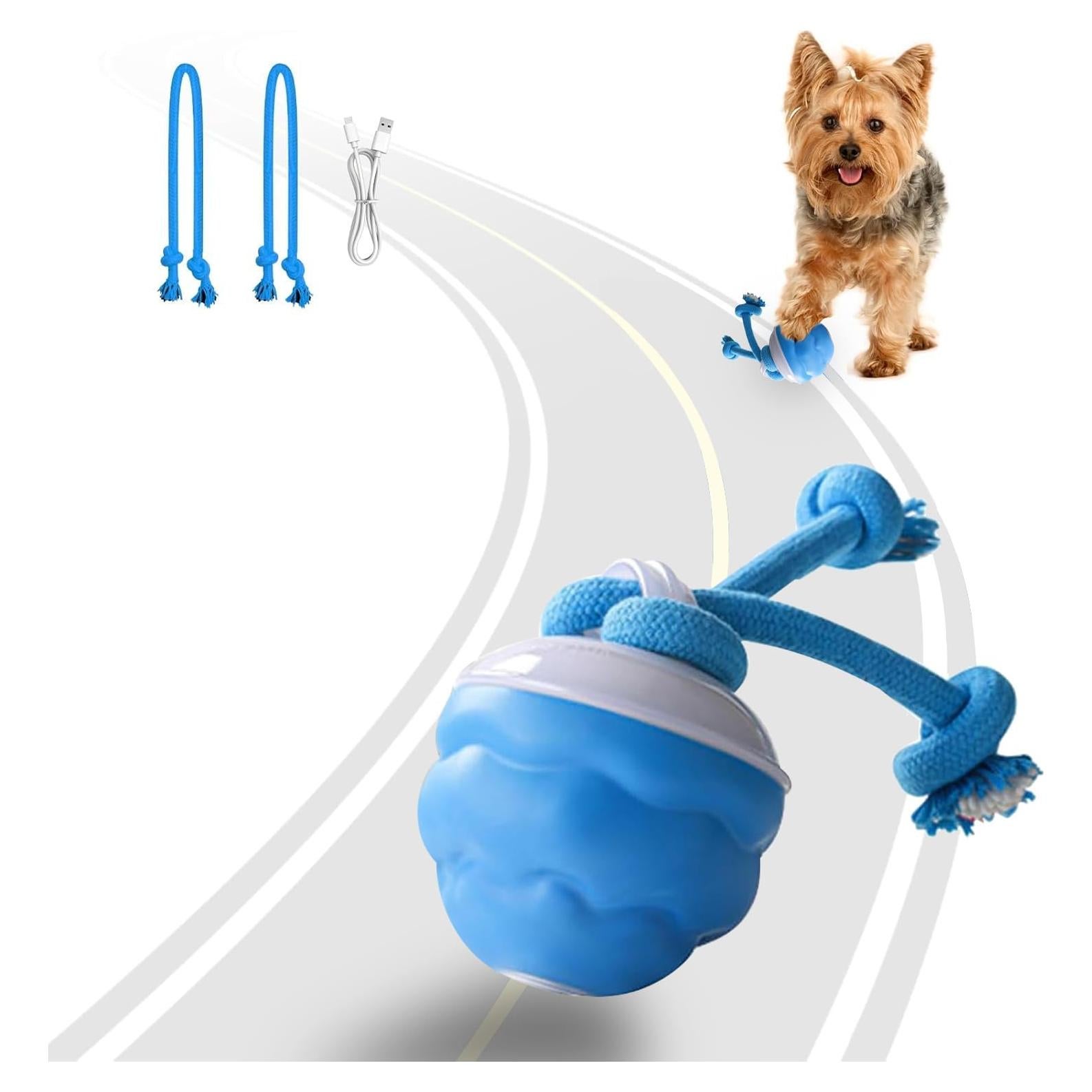 Juguete Interactivo para Perros Mckkymi DTBFB-001 Azul