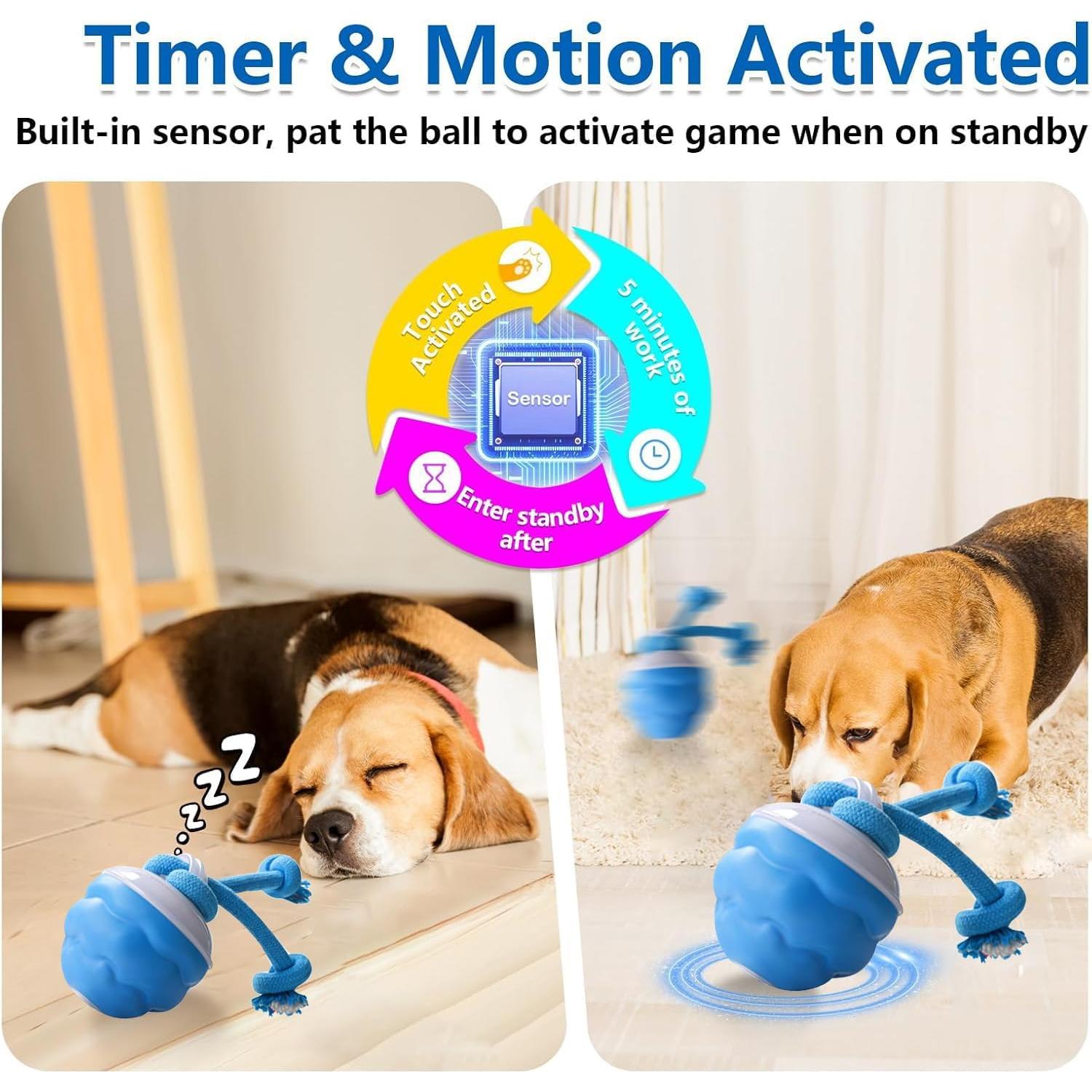 Juguete Interactivo para Perros Mckkymi DTBFB-001 Azul