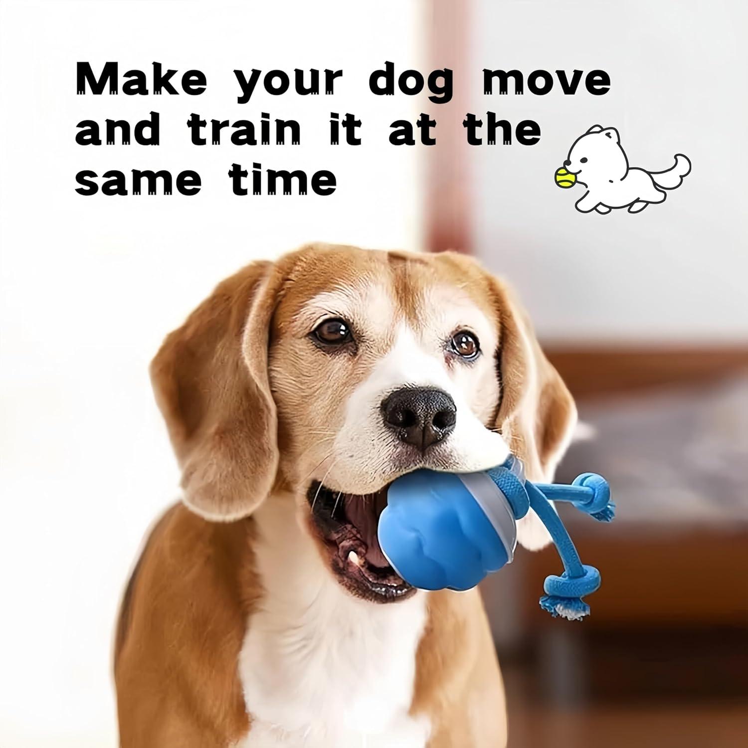 Juguete Interactivo para Perros Mckkymi DTBFB-001 Azul