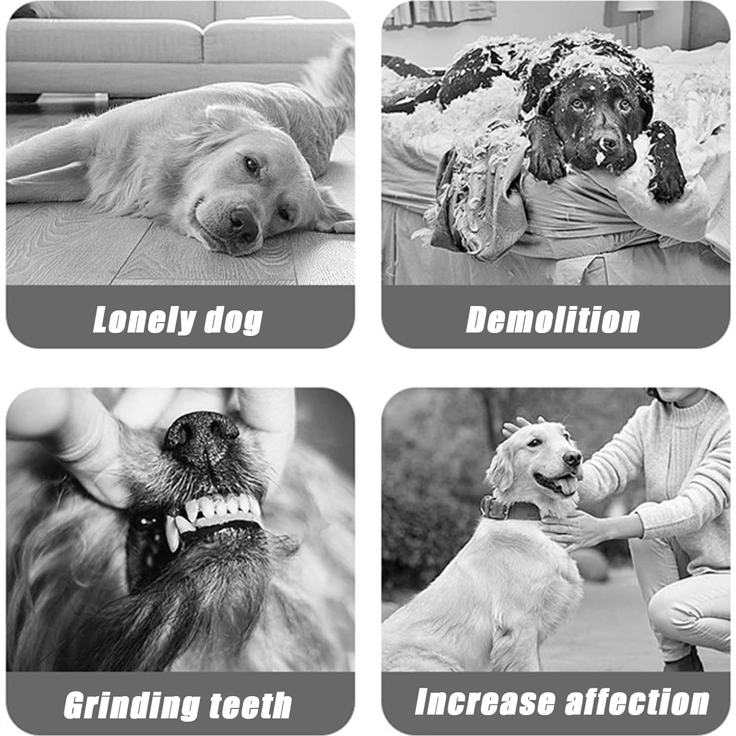 Juguete Interactivo para Perros Mckkymi DTBFB-001 Azul