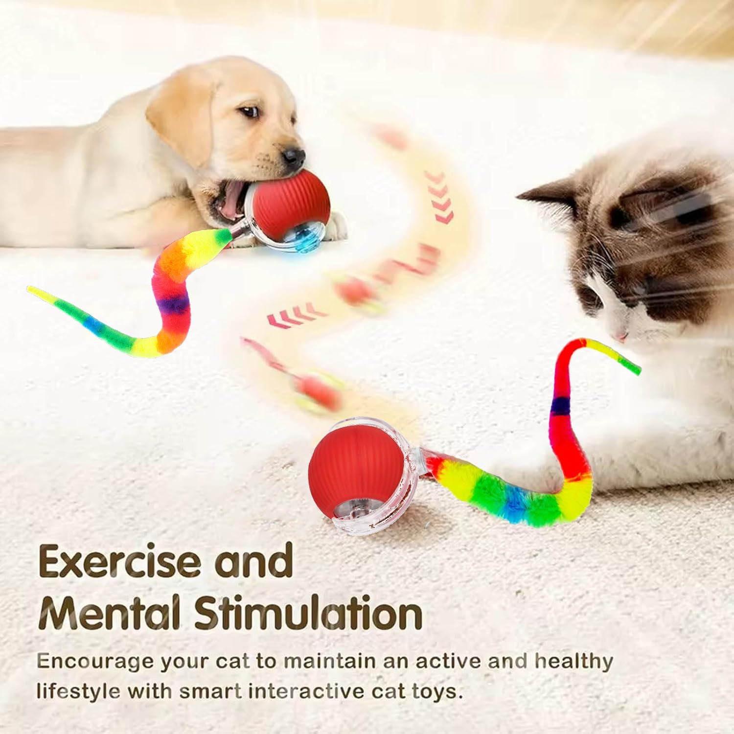 Juguete Interactivo para Gatos y Perros JinRui-T DMQ 2 Pcs