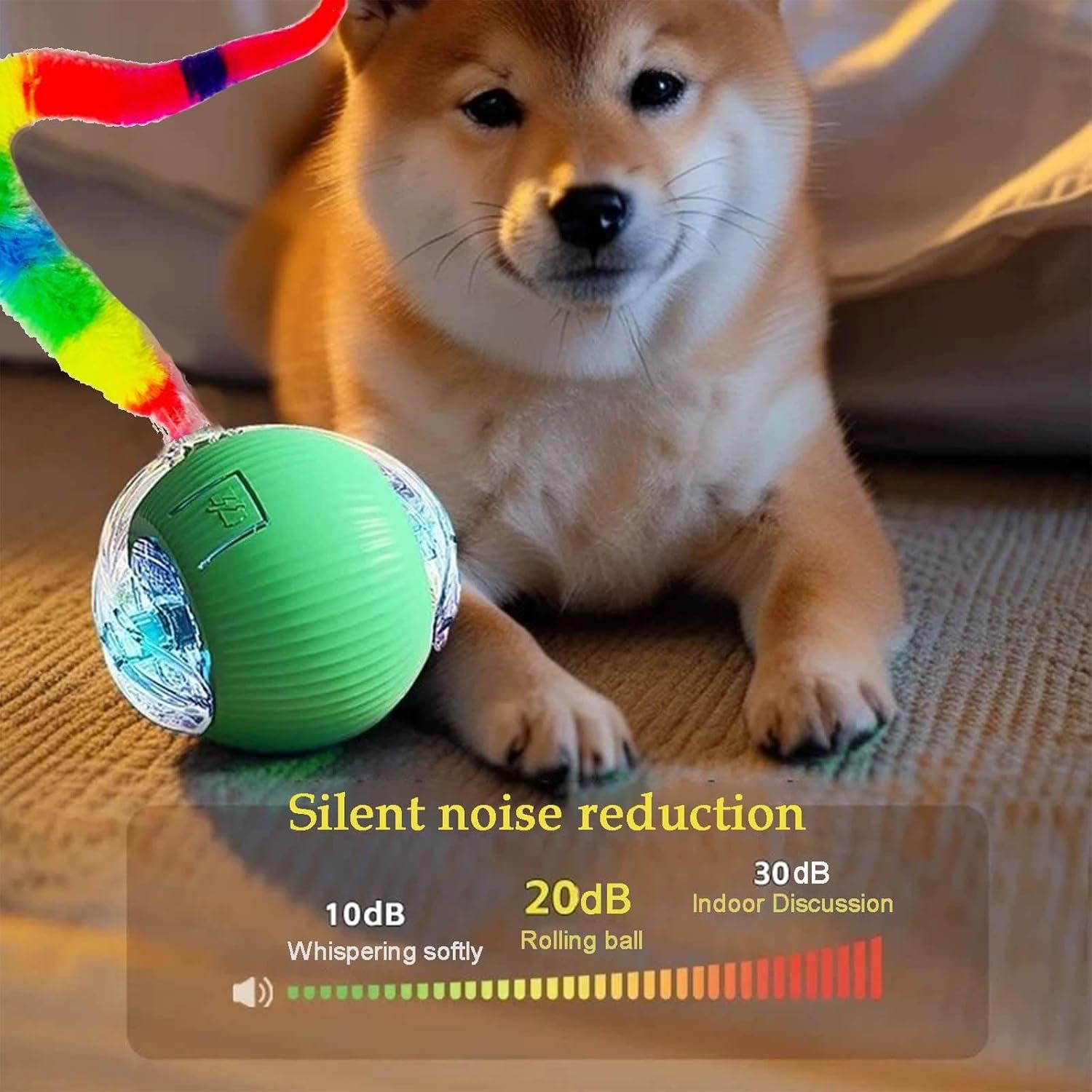 Juguete Interactivo para Gatos y Perros JinRui-T DMQ 2 Pcs