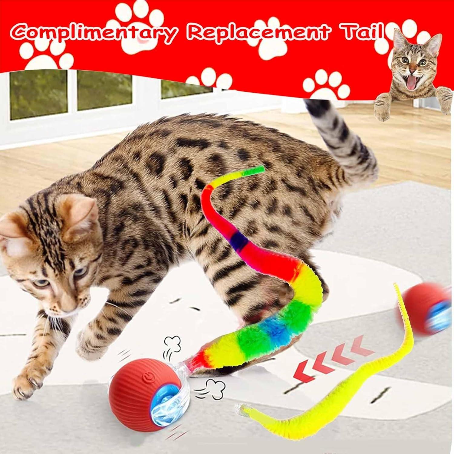Juguete Interactivo para Gatos y Perros JinRui-T DMQ 2 Pcs