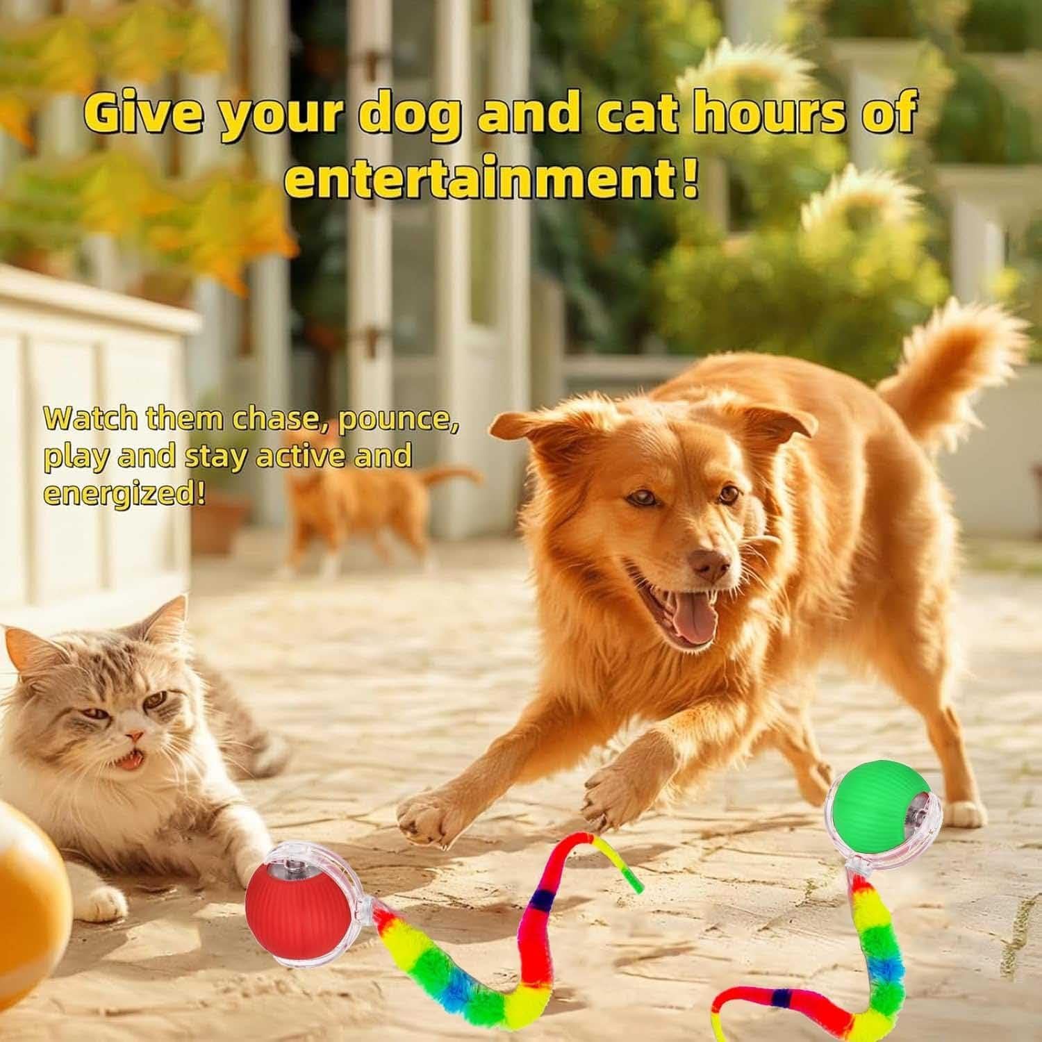 Juguete Interactivo para Gatos y Perros JinRui-T DMQ 2 Pcs