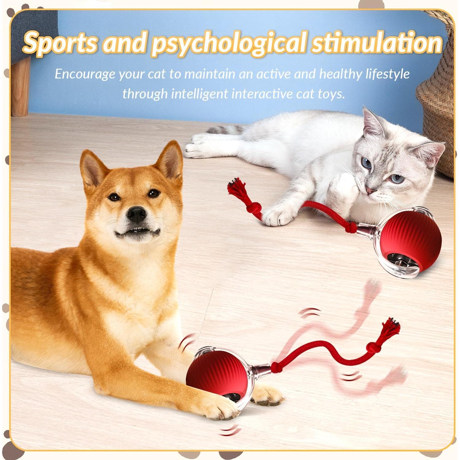 Bola Interactiva para Gatos LGGbaodan, Juguete Automático 2025