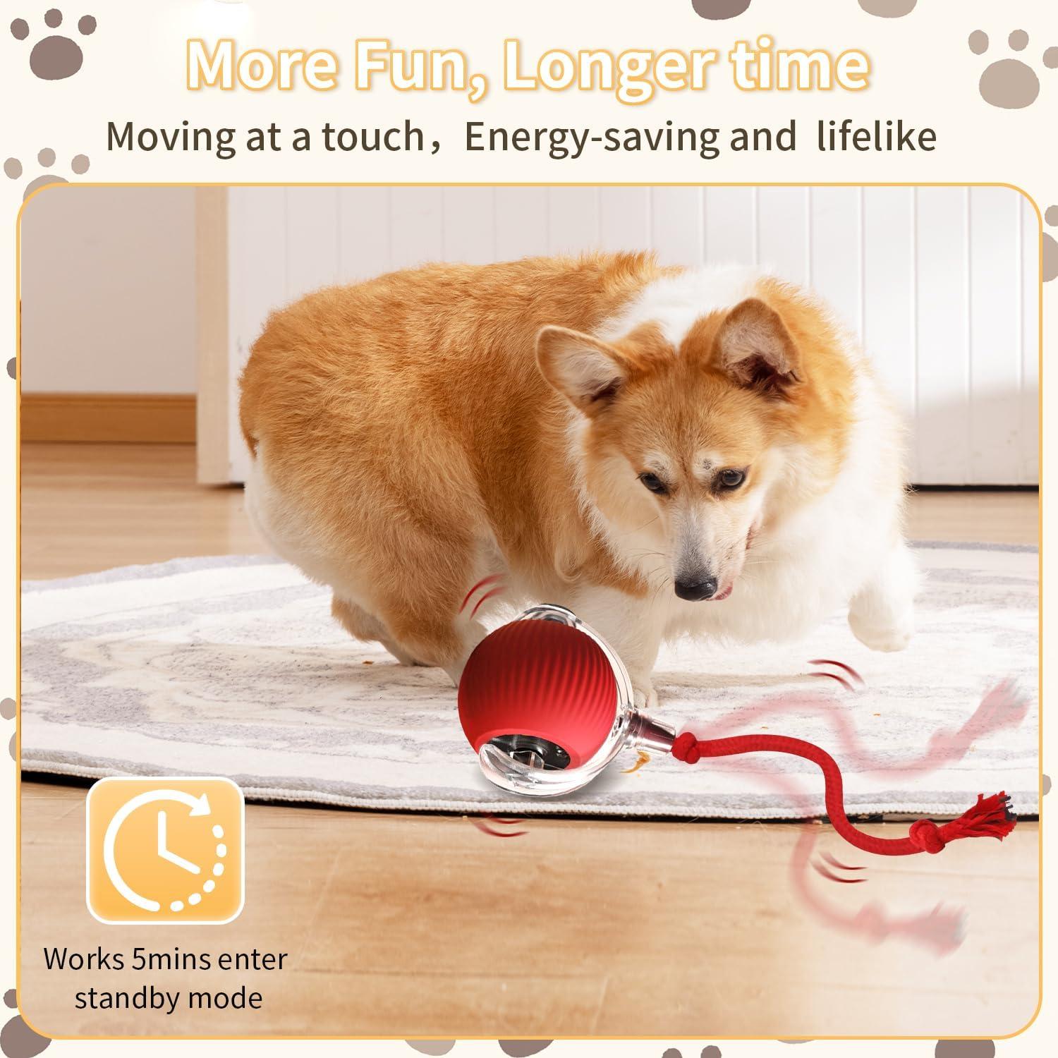 Bola Interactiva para Gatos LGGbaodan, Juguete Automático 2025