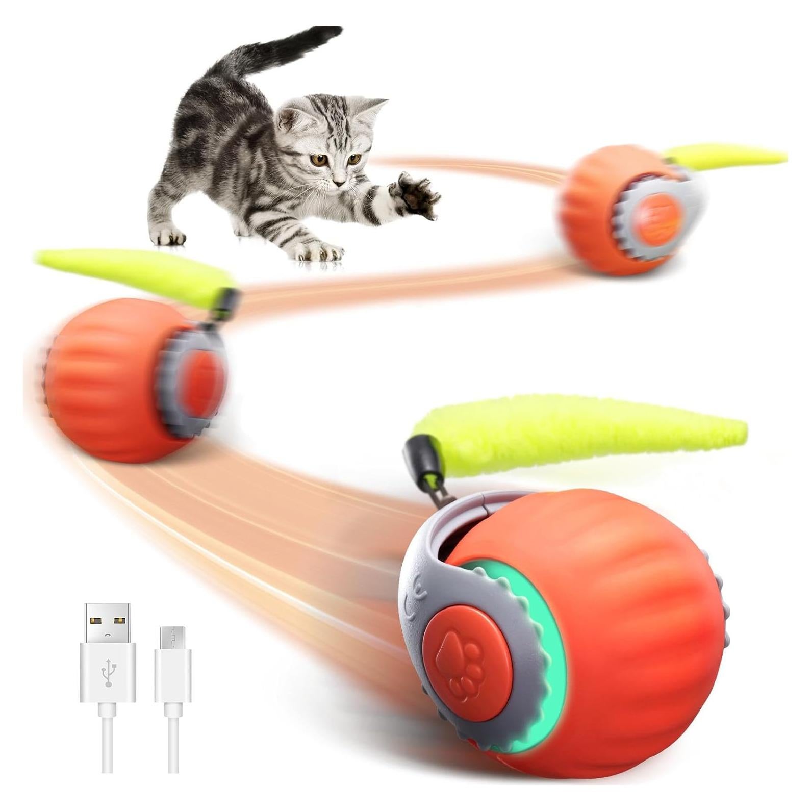 Juguete Interactivo para Gatos PawsomeFinds Y-805 con Cola