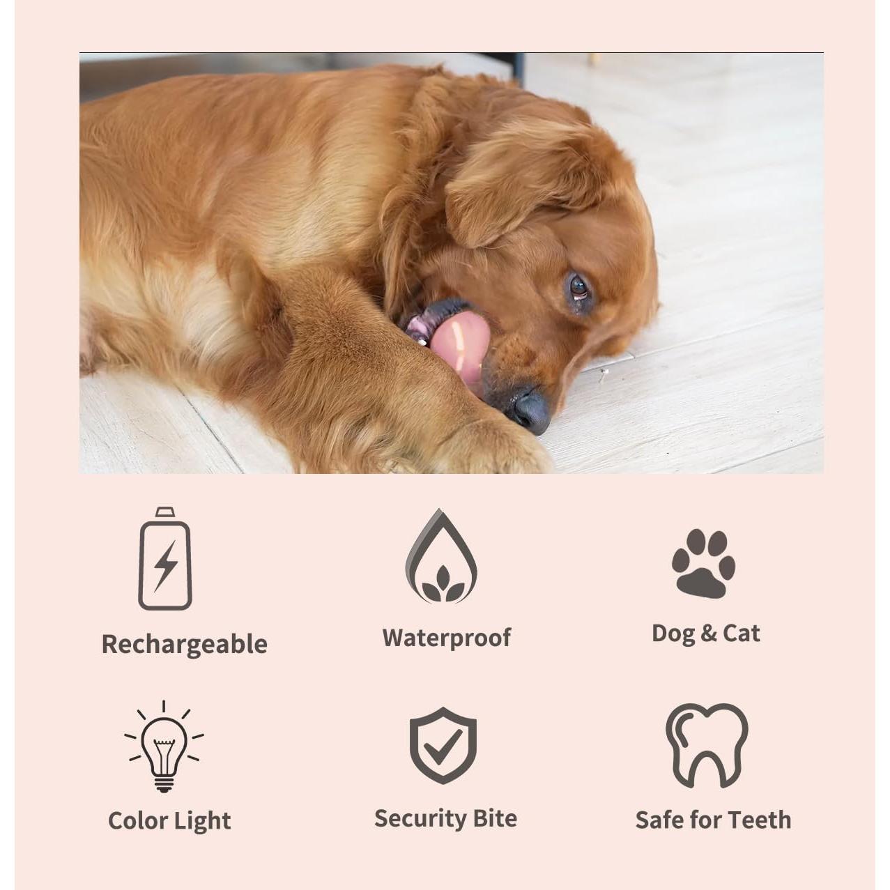 Pelota Interactiva para Perros Morhandisn Rosa 8 cm Recargable