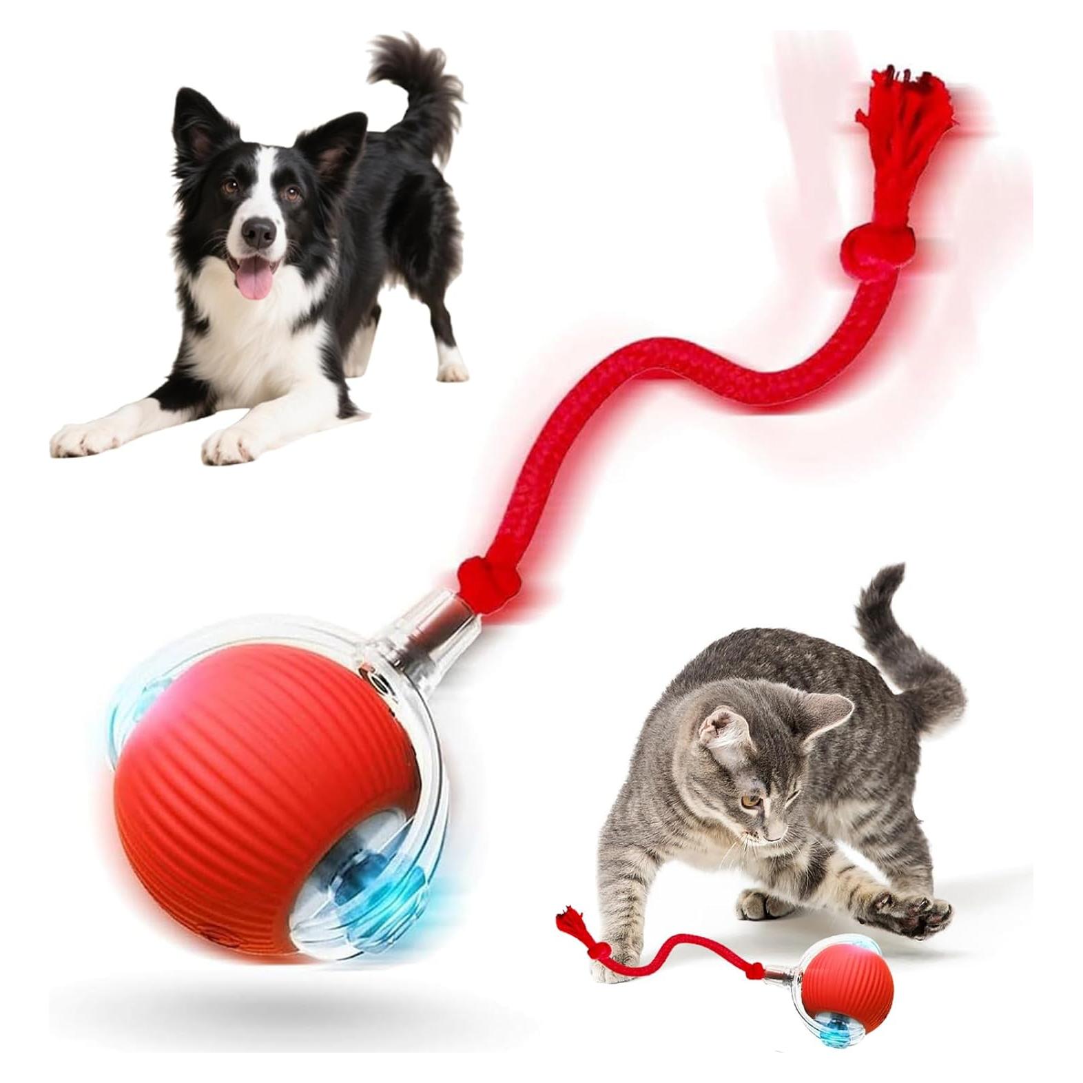 Bola Interactiva para Gatos y Perros Taikcsut - Rojo