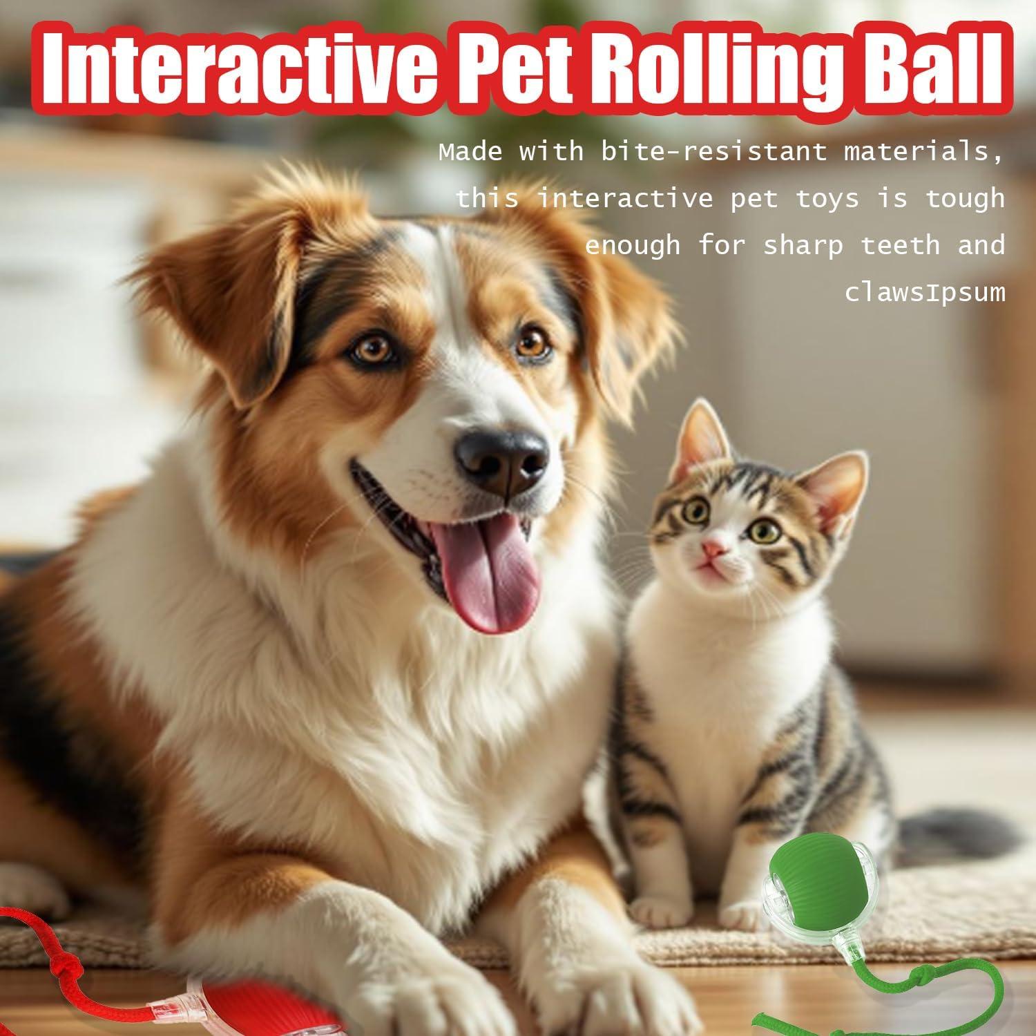 Bola Interactiva para Perros y Gatos Genérico DMQ112 360°