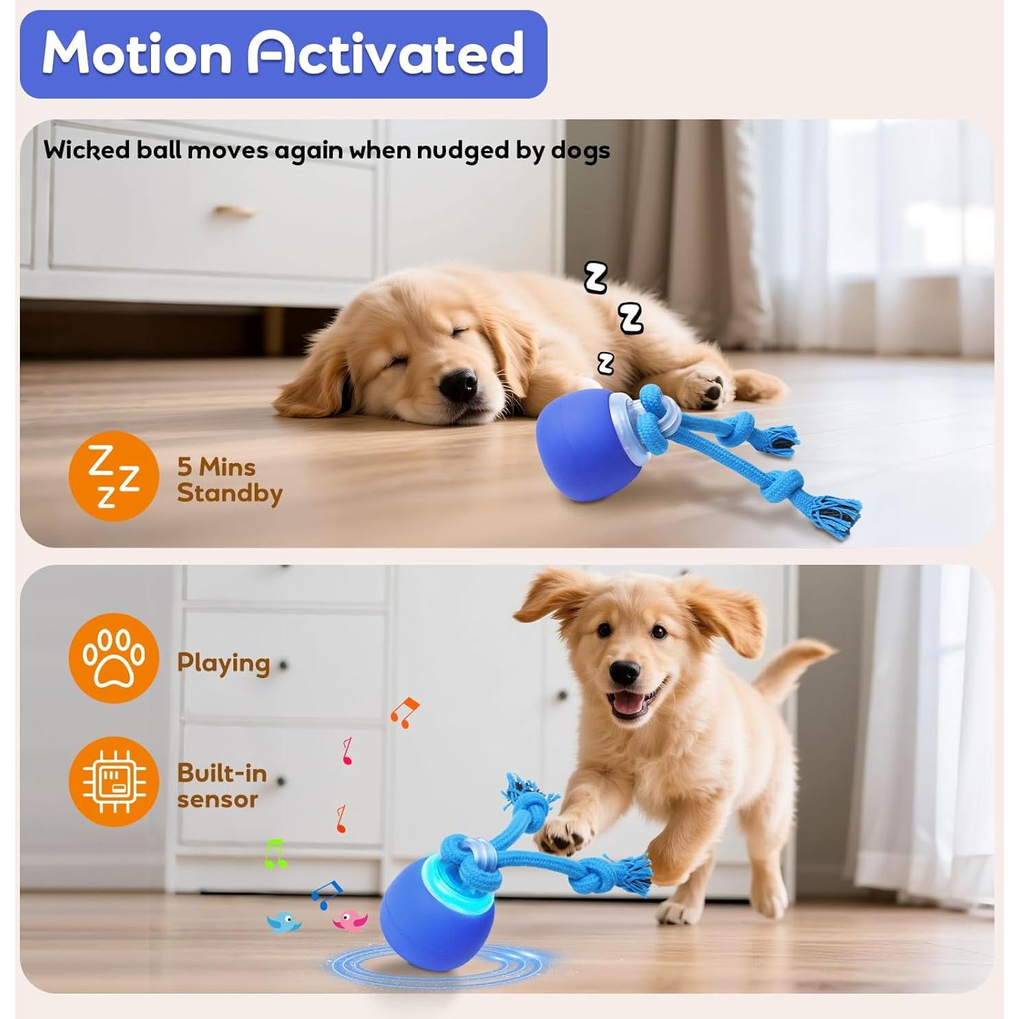 Pelota Interactiva para Perros LEPLE LP51 con Sonido Squeaky