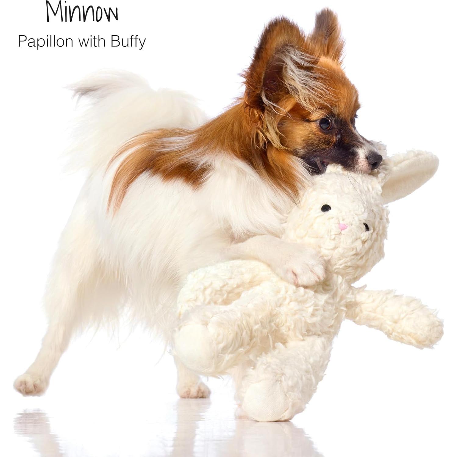 Juguete de Perro de Algodón Pasi&oacute;n por las Mascotas - Conejo