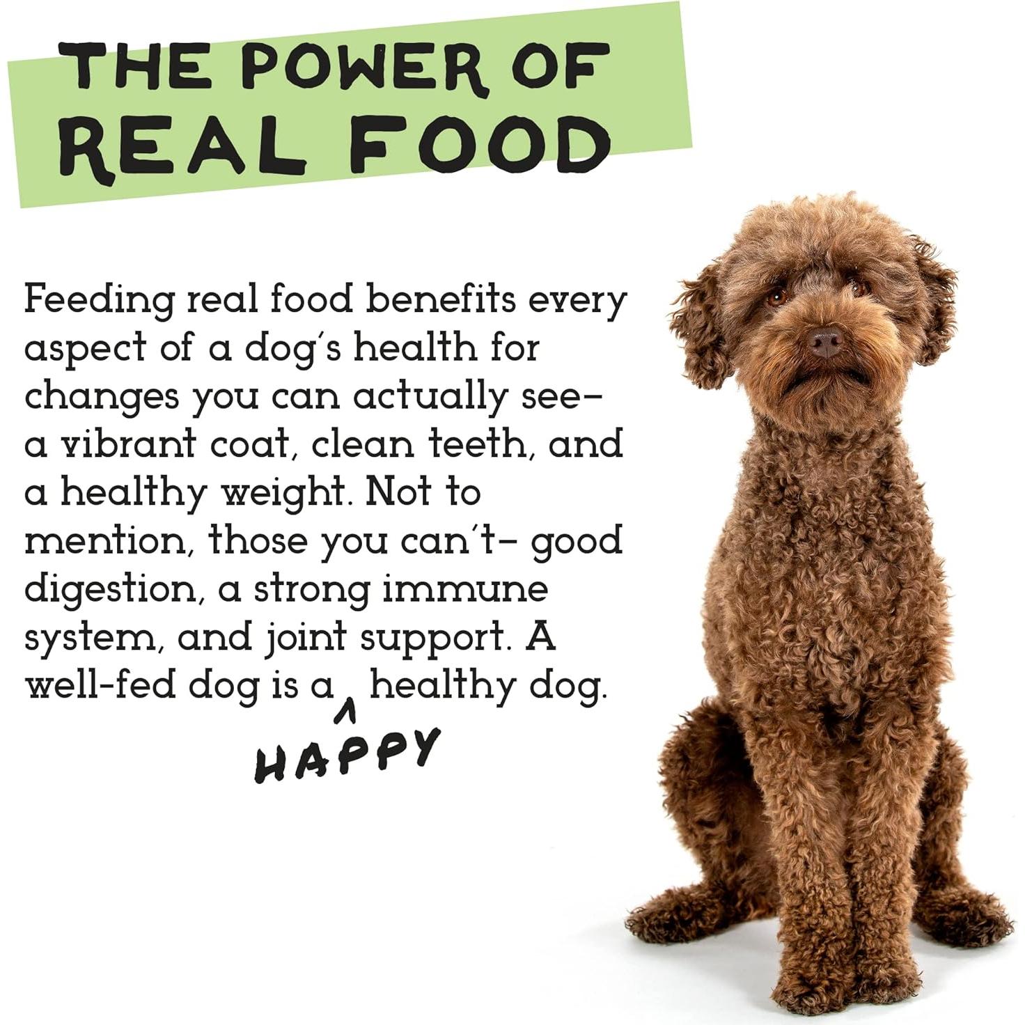 Comida Cruda Liofilizada para Perros Proyecto de Comida Simple - 6 Variedades