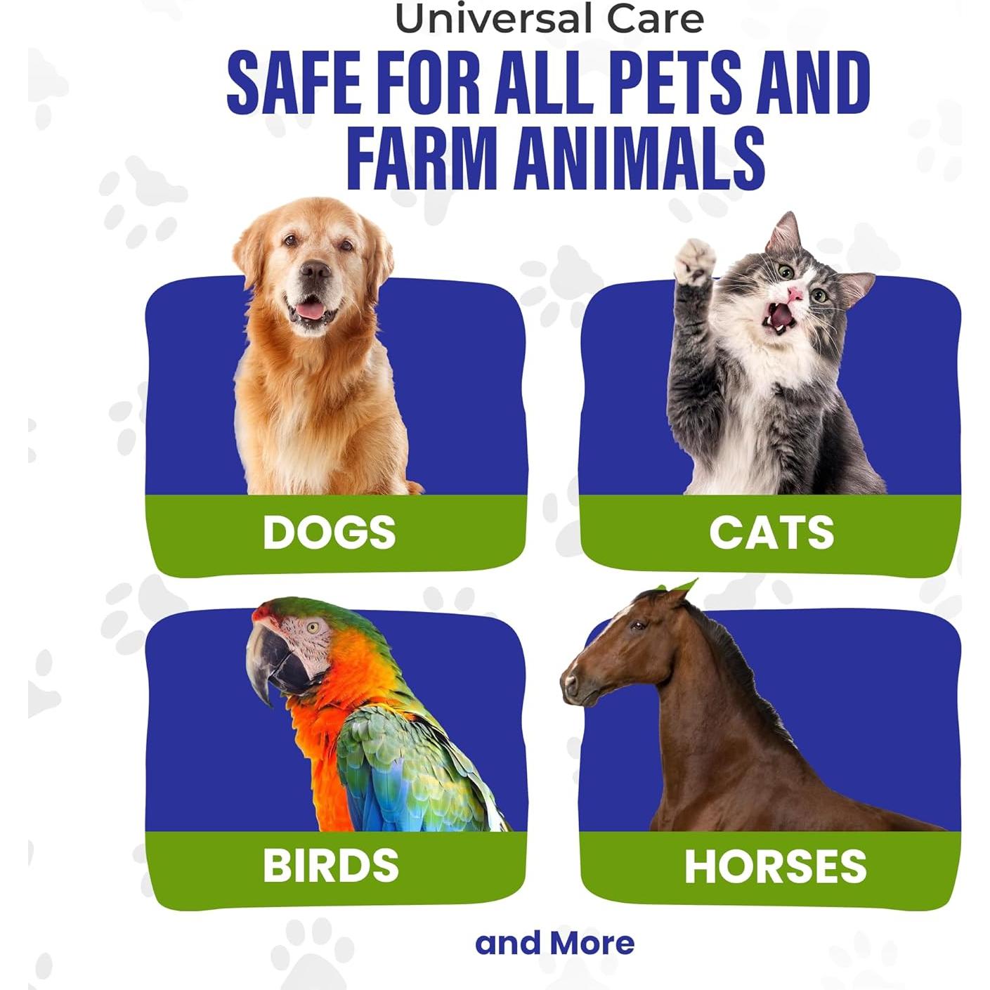 Plata Coloidal HighVibe 946 ml para Cuidado de Mascotas