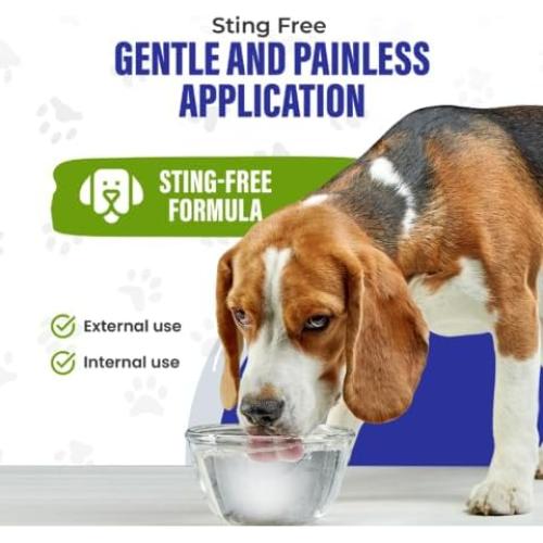 Plata Coloidal HighVibe 946 ml para Cuidado de Mascotas