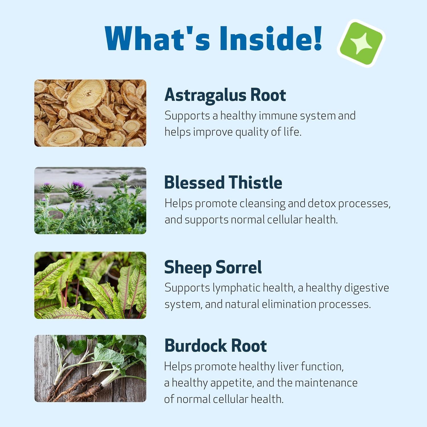 Life Gold Suplemento para Gatos - Pet Wellbeing 59 ml