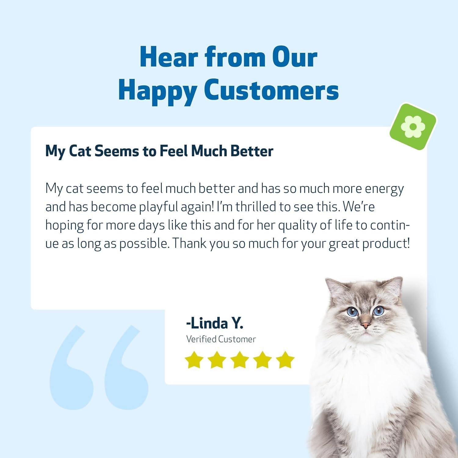 Life Gold Suplemento para Gatos - Pet Wellbeing 59 ml