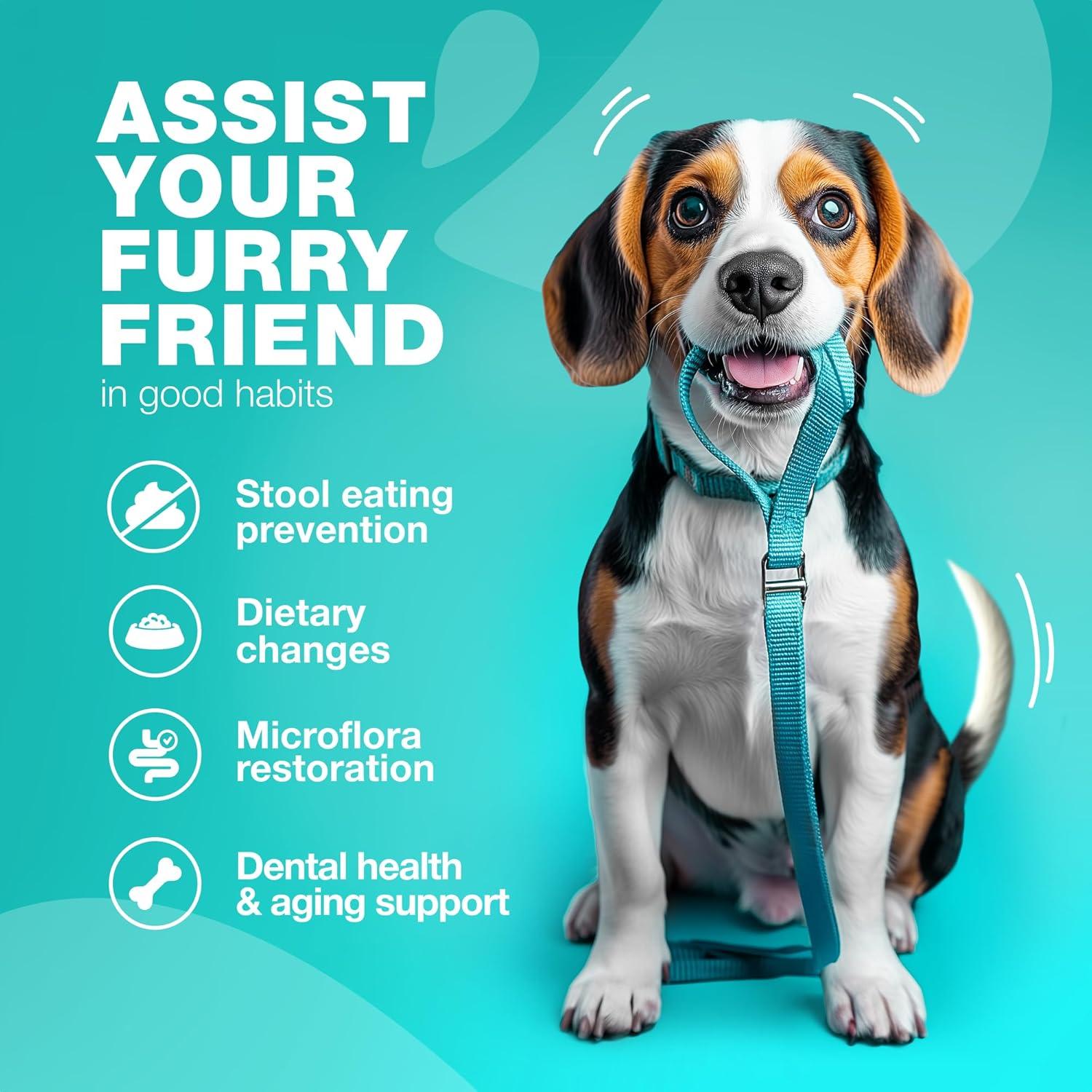 No Poo Chews Chewia - Deterrente de Heces para Perros 180 Unidades