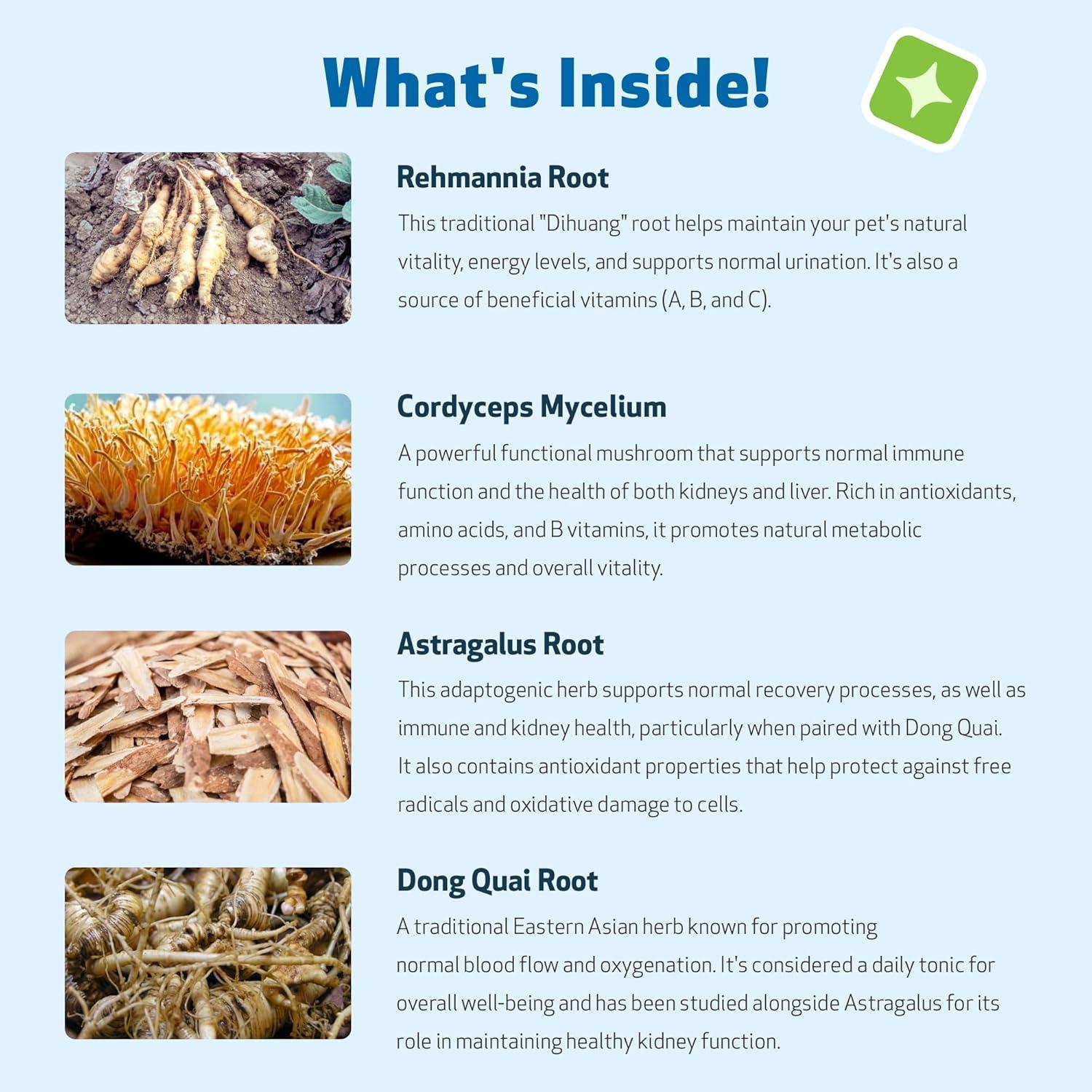 Suplemento Herbal Apoyo Renal Oro Pet Wellbeing 59 ml