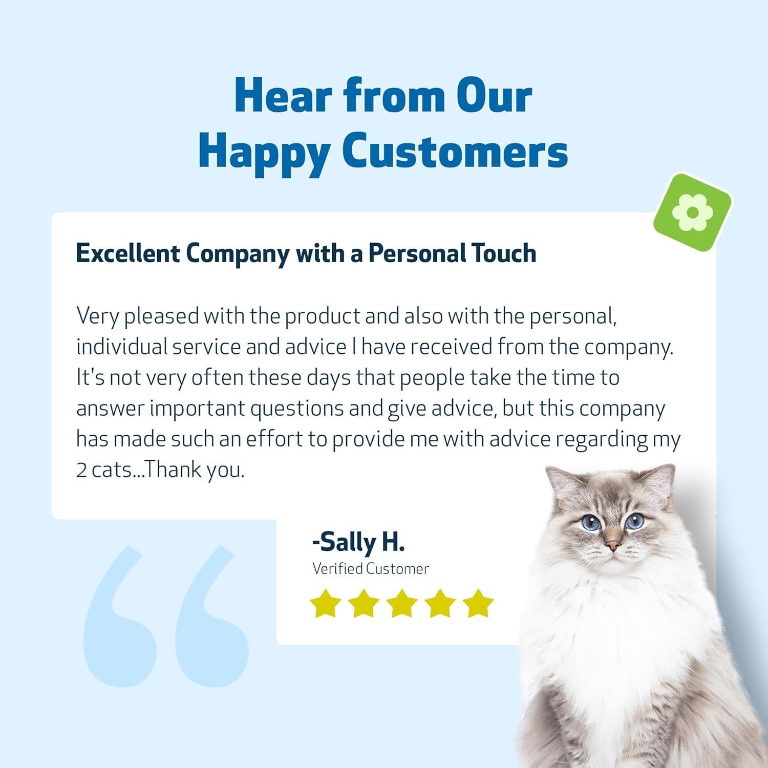 Suplemento Herbal Apoyo Renal Oro Pet Wellbeing 59 ml