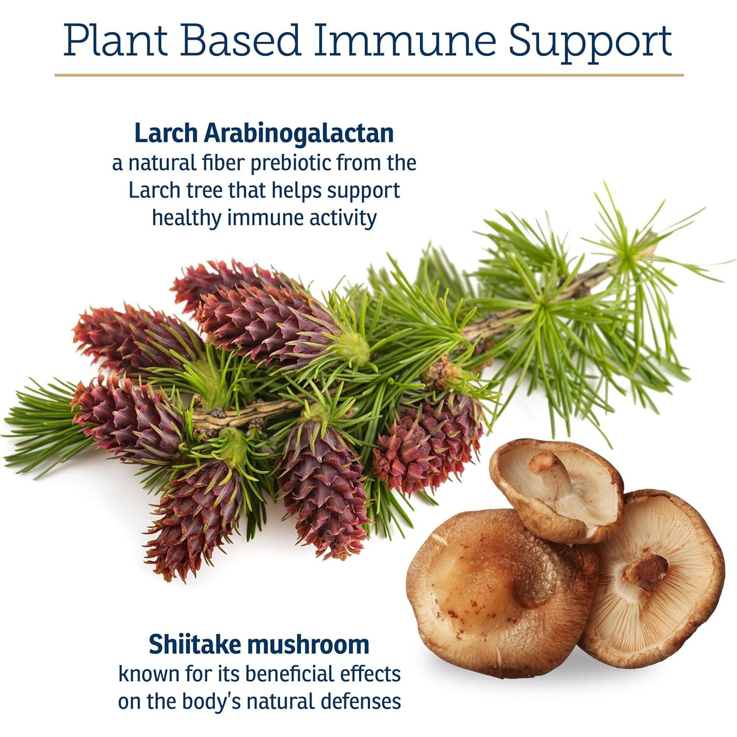 Suplemento Inmunológico para Perros y Gatos Rx Vitamins 60ct