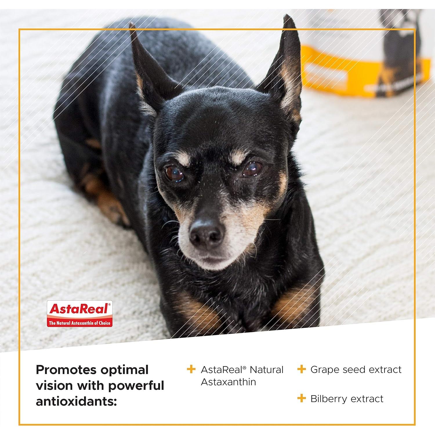 Suplemento ocular para perros VetriScience 60 masticables pollo