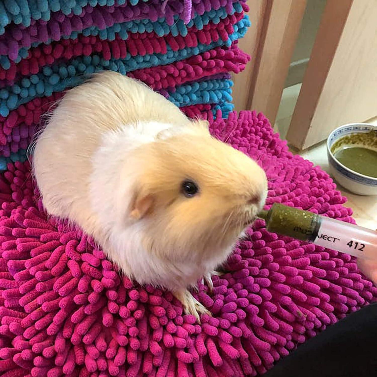 Kit de Emergencia para Cobayas Sherwood Pet Health 180g