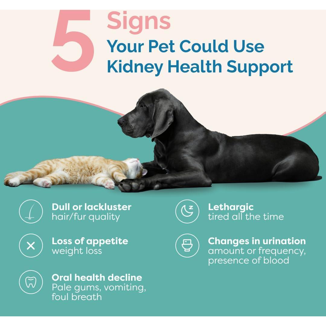 Suplemento Líquido Prana Pets para Salud Renal en Gatos 132g