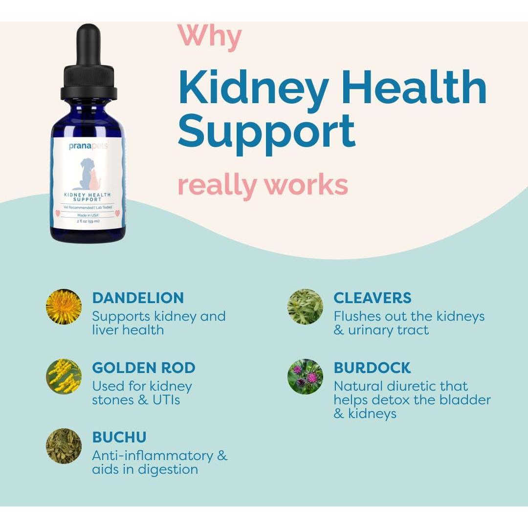Suplemento Líquido Prana Pets para Salud Renal en Gatos 132g